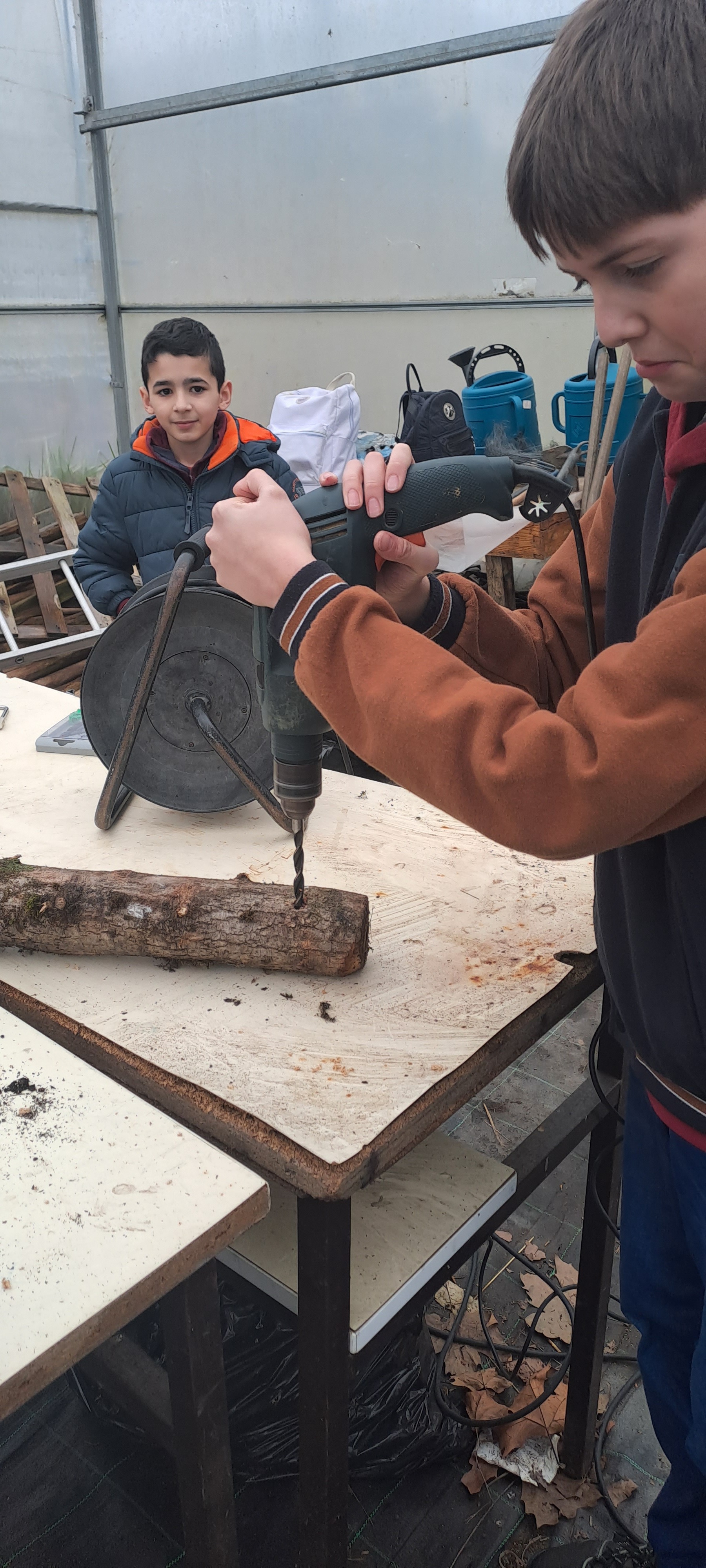 Parceria com a empresa Biotake. Os alunos do clube de Ciência Viva realizaram o estudo de fungos, nomeadamente, Lentinula edodes, produtor de cogumelos shiitake. O Clube da Horta fez as marcações e perfurações nos troncos de carvalho português.