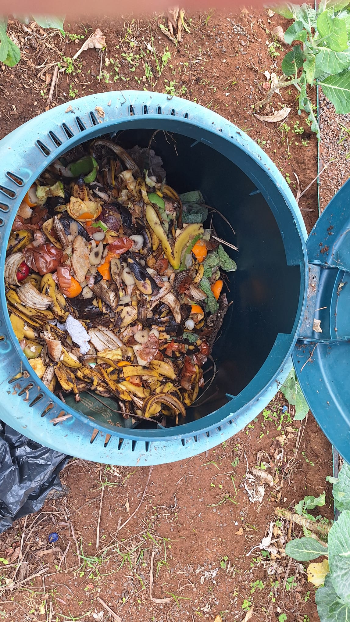 compostagem
