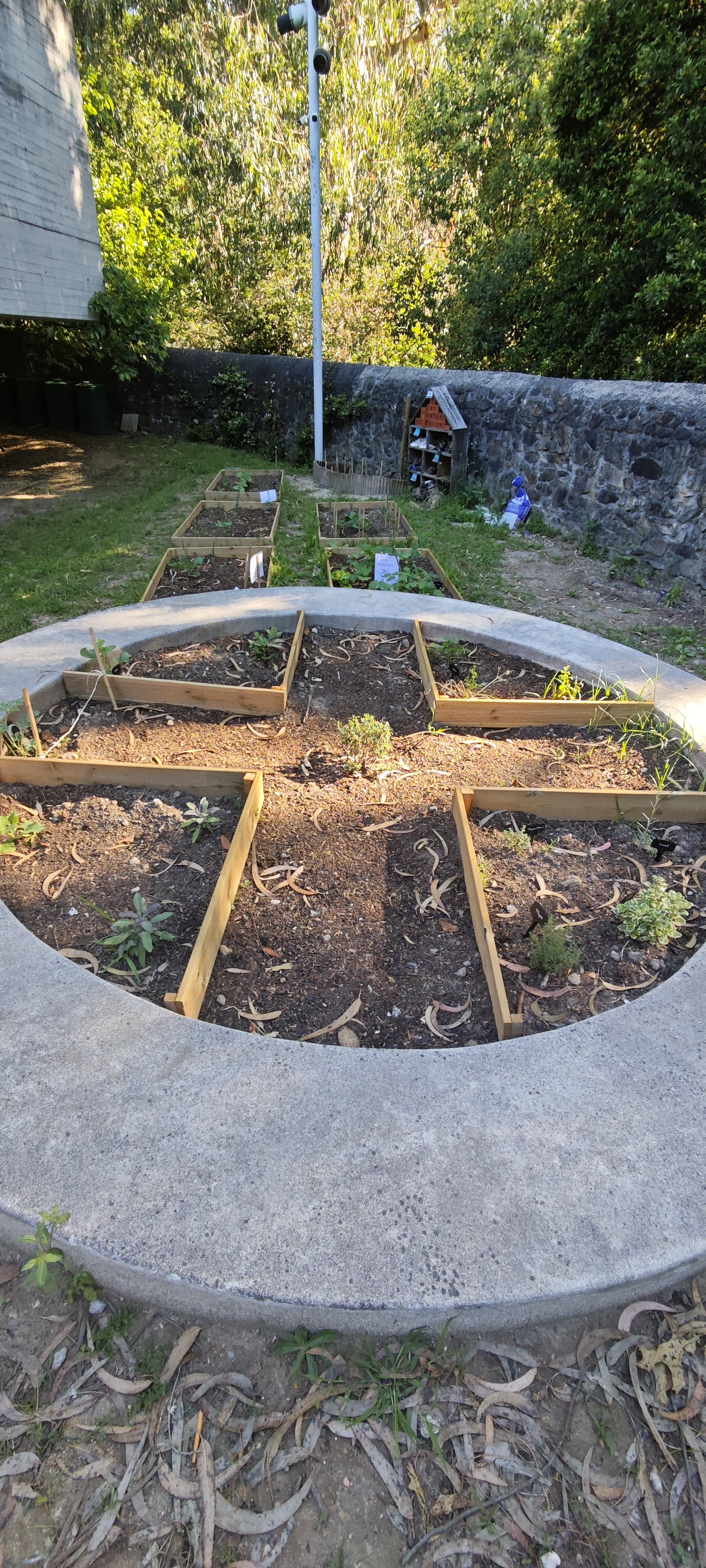 Plantações horta térrea