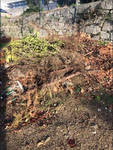 Terreno onde existiam plantas que secaram e onde será plantada parte da nossa horta.