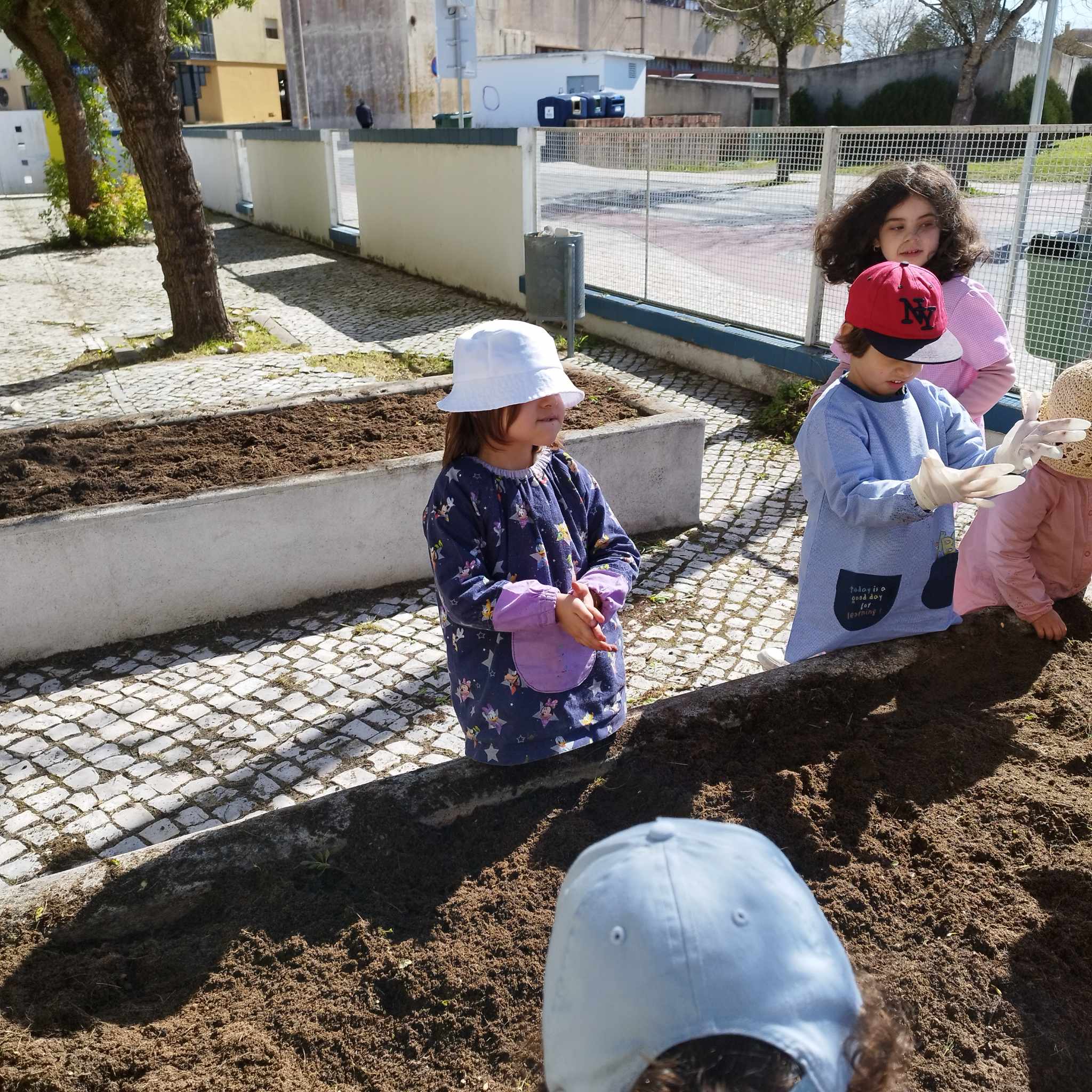 Preparação do terreno para cultivar