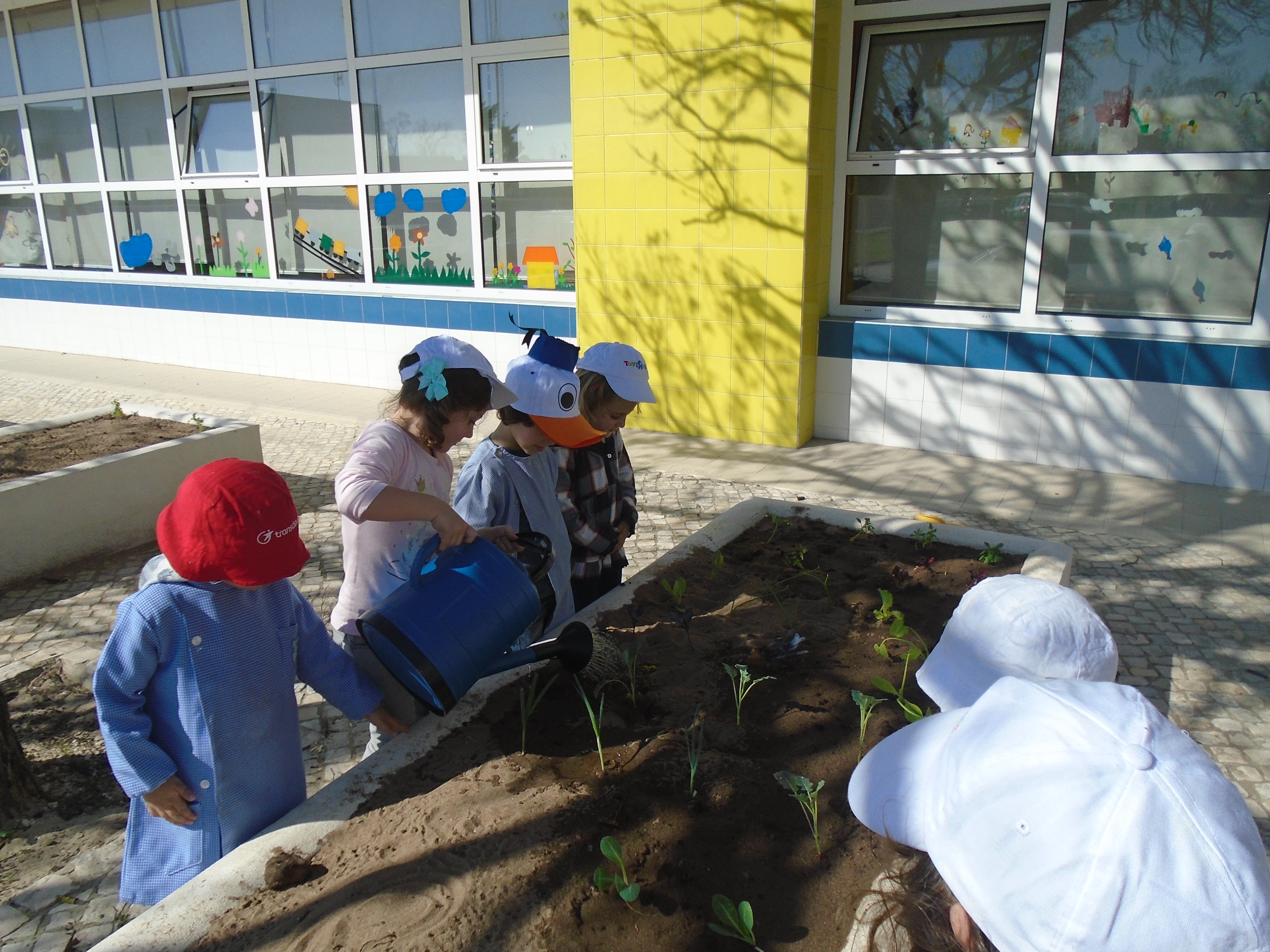 Plantação