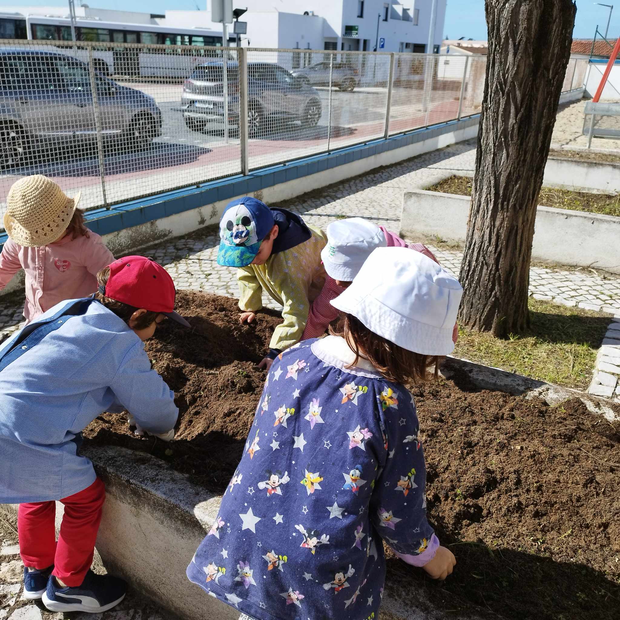 Preparação do terreno para cultivar