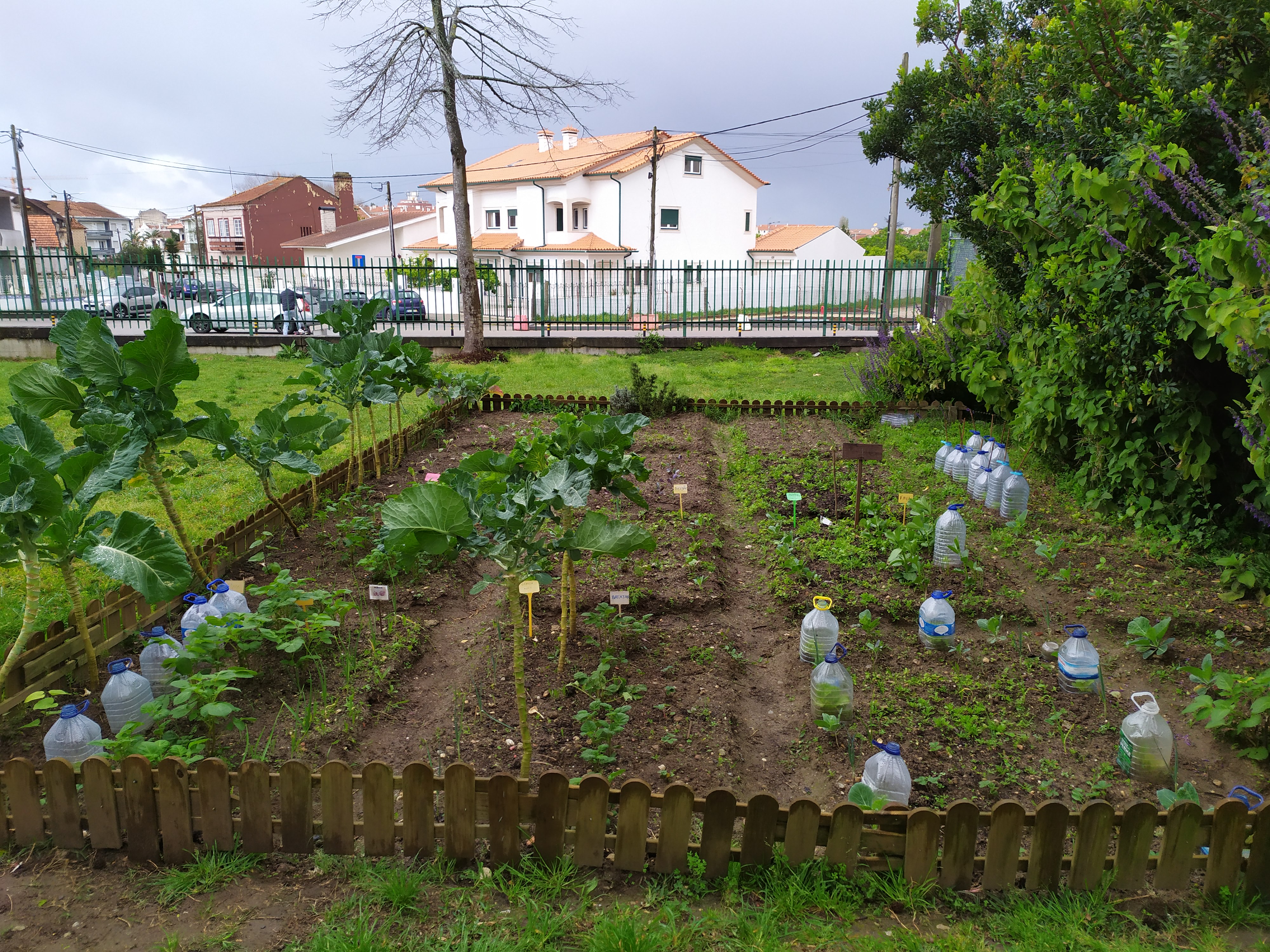 Vista geral da Horta BIO em março.