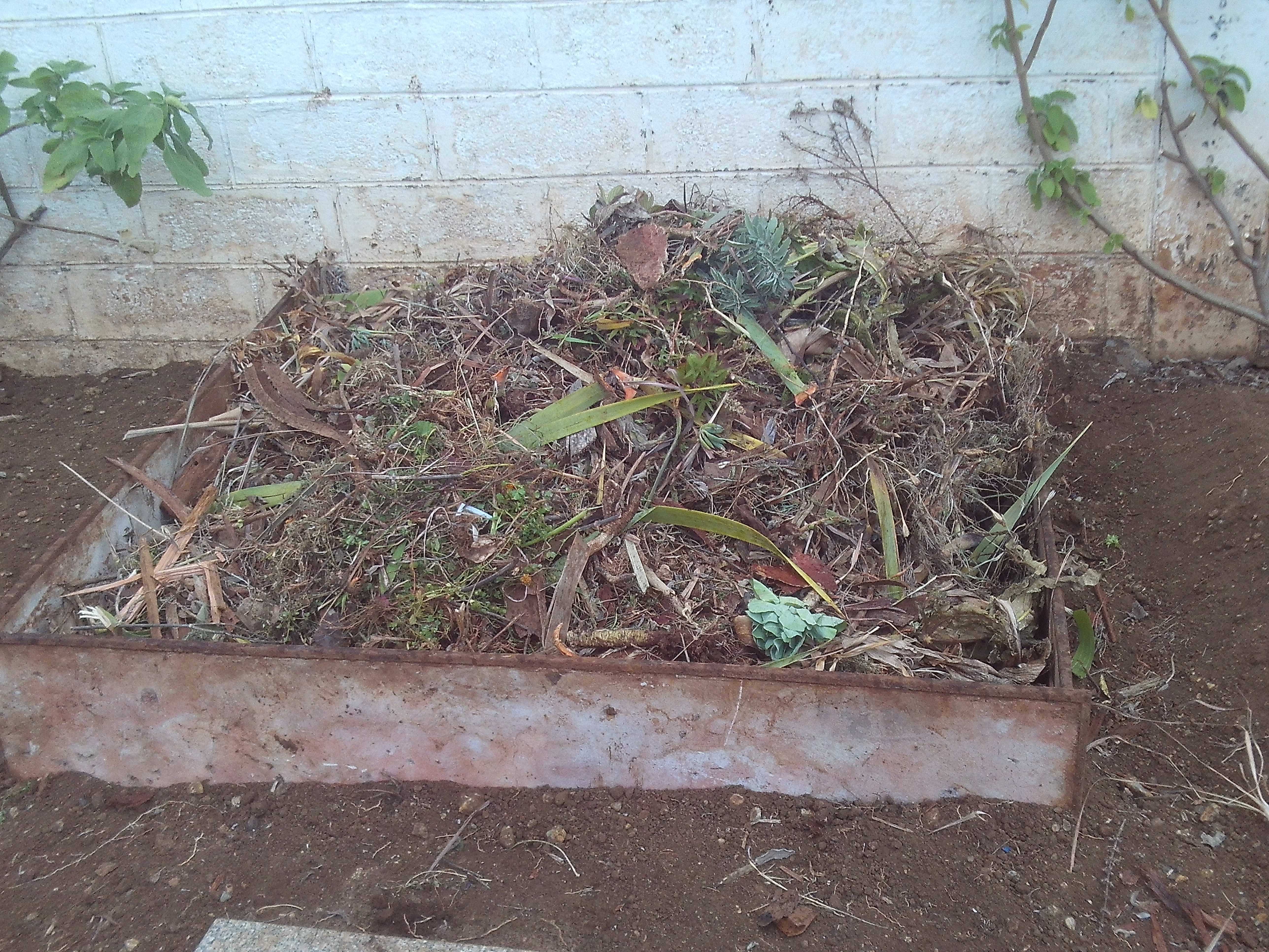 Compostor com os resíduos recolhidos na limpeza da horta
