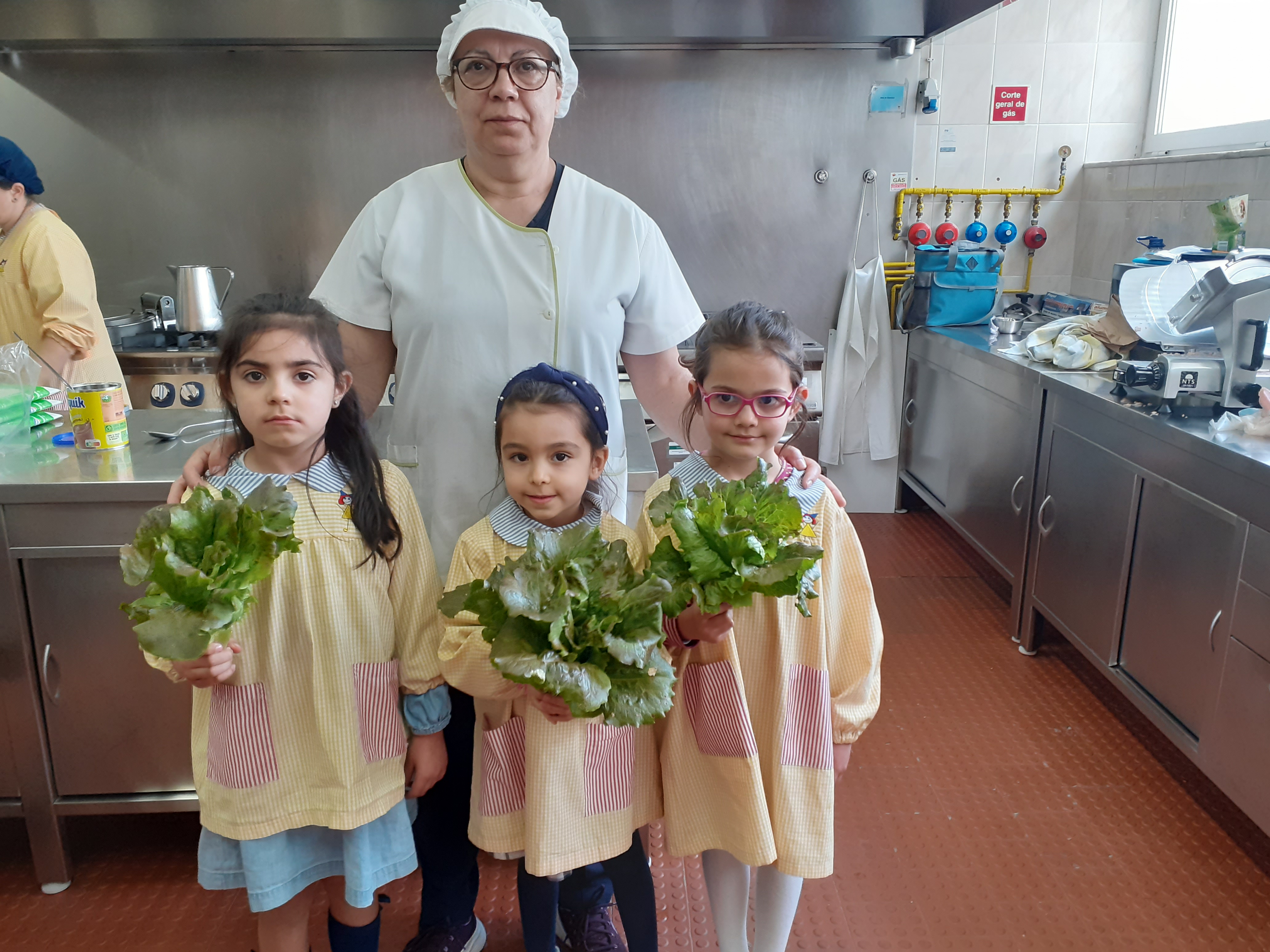 6- Entrega das alfaces à cozinheira, para as preparar para o almoço