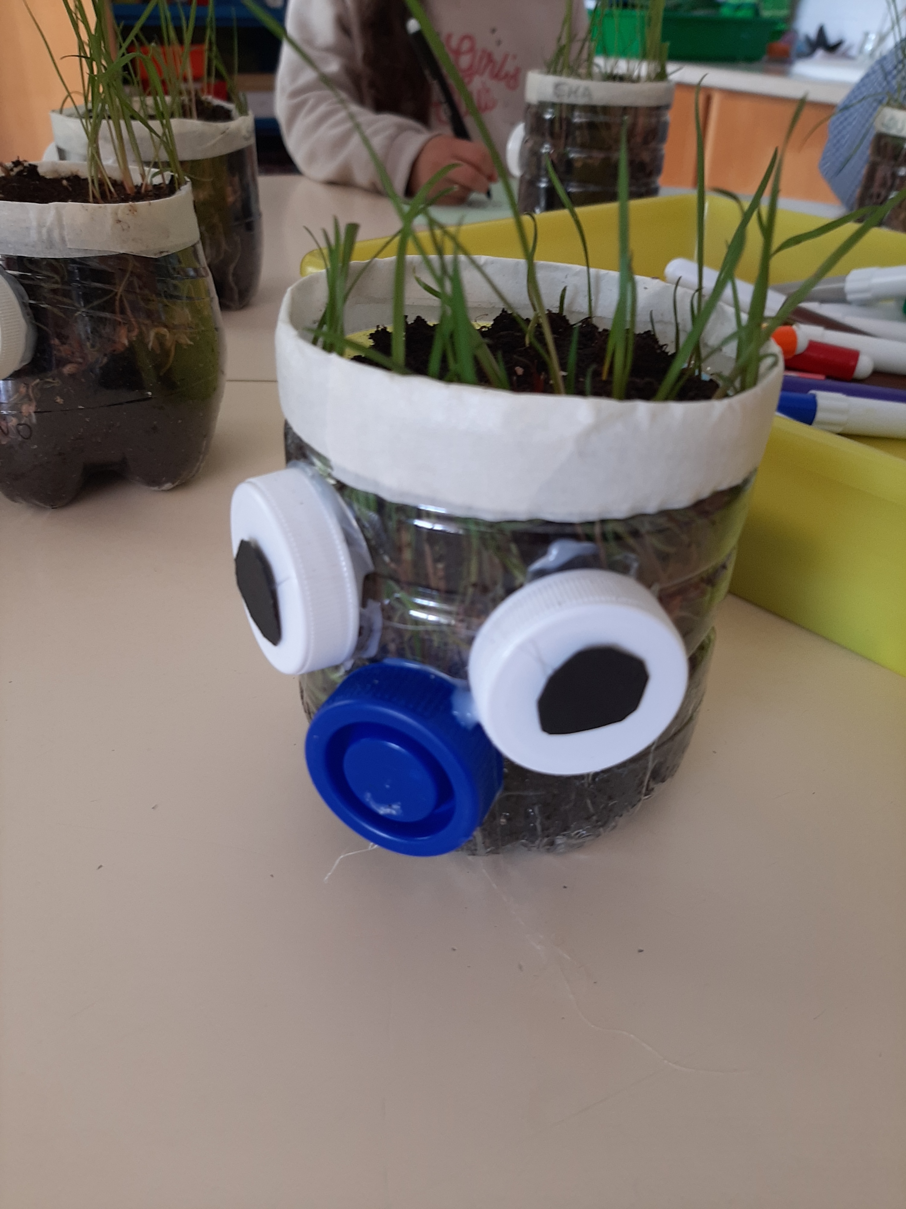 Bonecos cabeludos 
Bonecos individuais com sementes de alpista