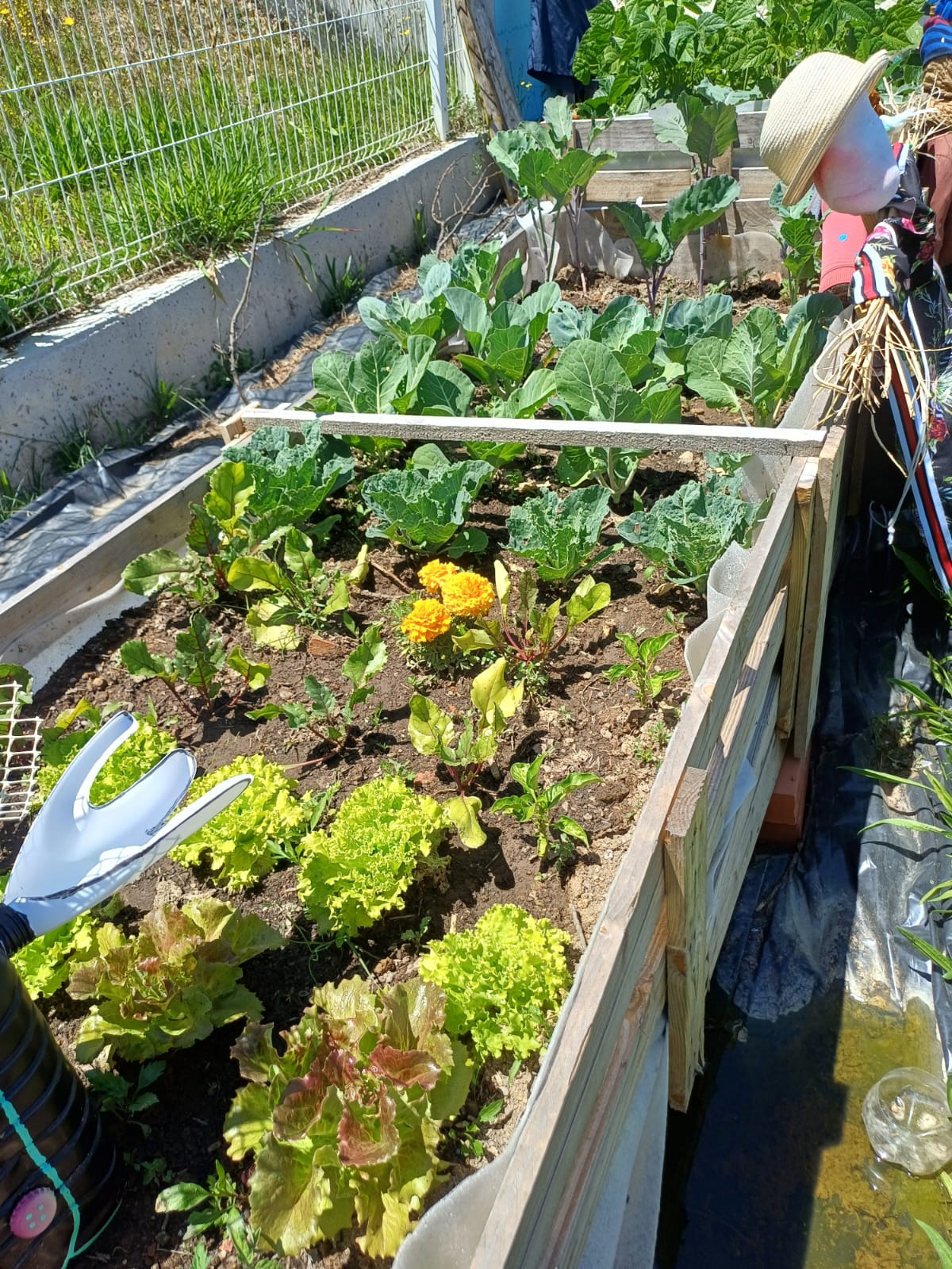 Produtos da horta