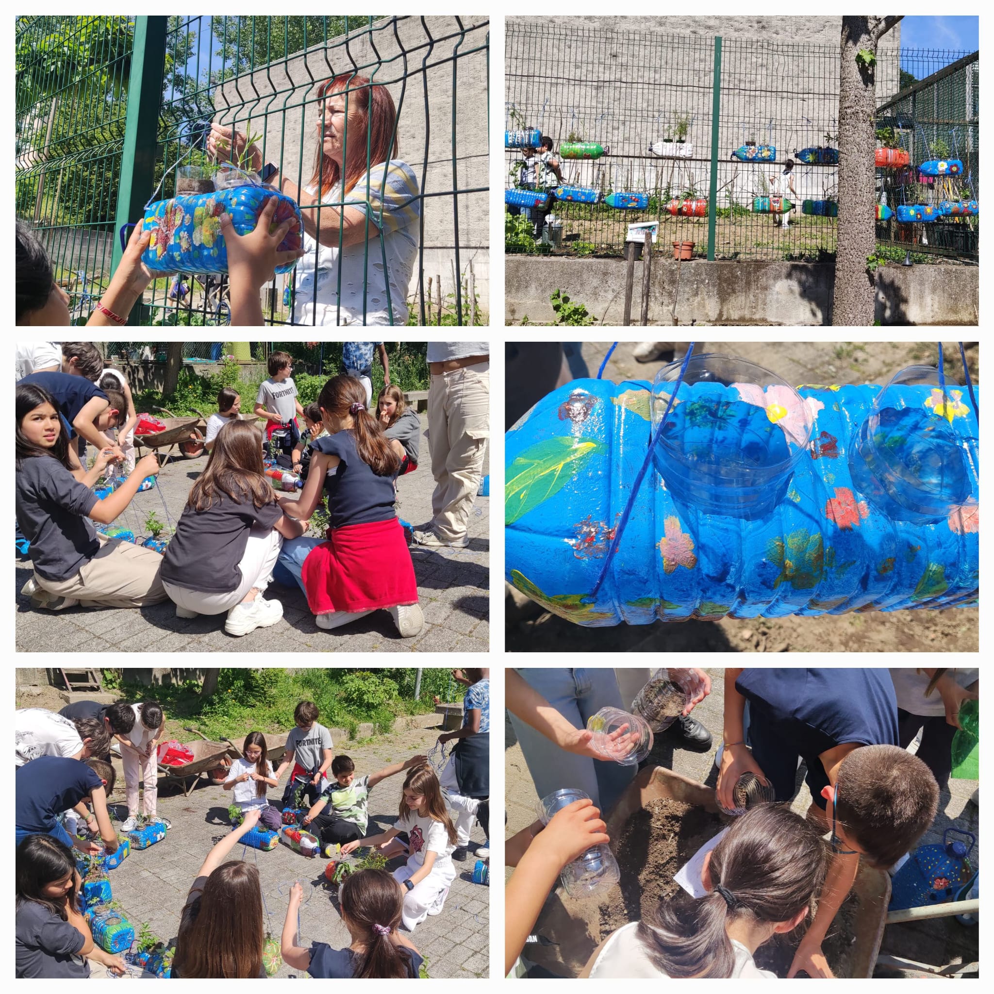 Os alunos do 5ºE, pensaram na construção / pintura de garrafões de plástico, para plantarem as aromáticas. para isso pediram a colaboração da professora de Educação Tecnológica e da professora de Ciências Naturais para a execução e estudo das aromáticas.