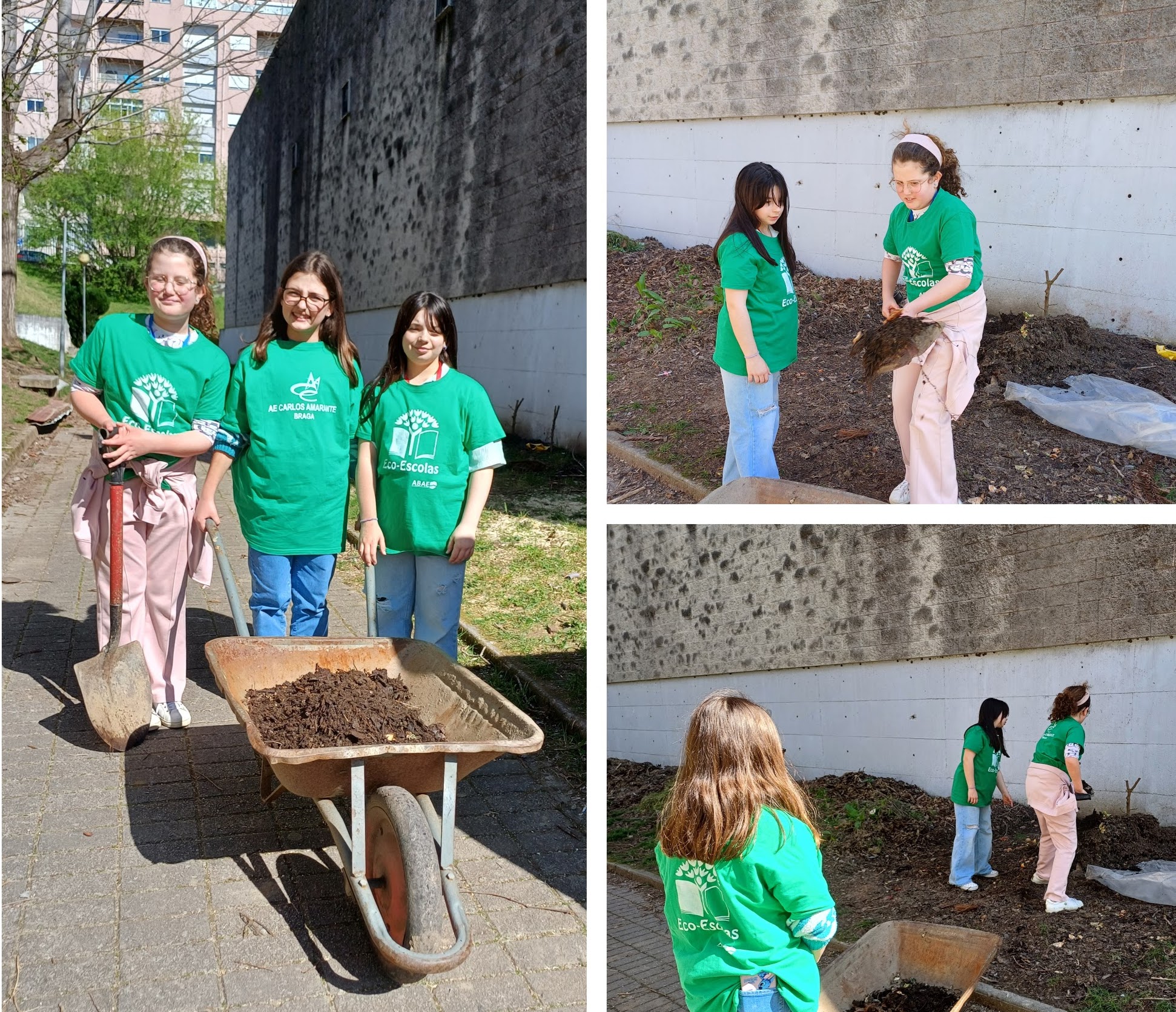 O Composto para a horta; Apesar de a horta possuir uma caixa de compostagem, os alunos desde o inicio do ano letivo, com a ajuda do assistente operacional, Sr. Luciano, criaram atrás do pavilhão uma forma de fazer a compostagem.