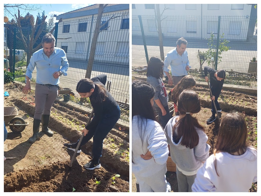 Plantação das pencas, pelos meninos da turma do 5ºE