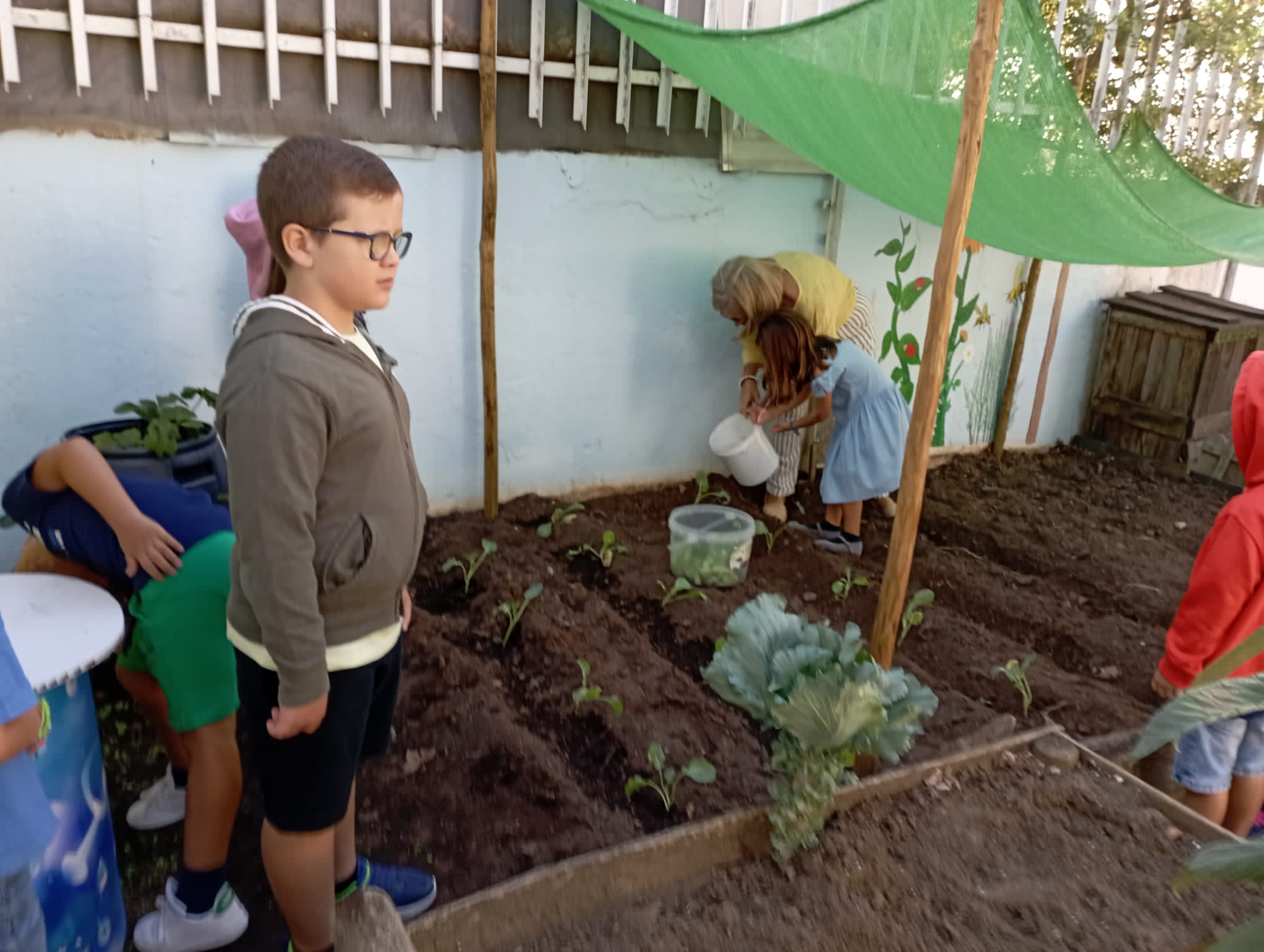 Plantação das primeiras hortículas, em 19.novembro.2023