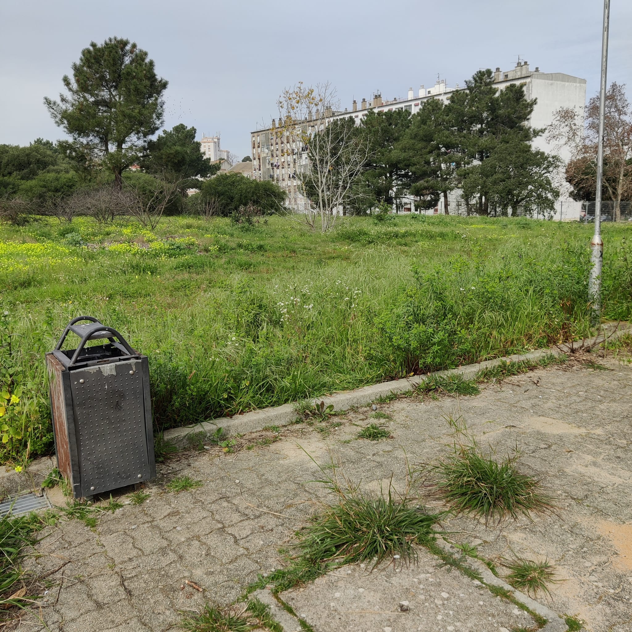 Possível localização para a Horta.
As hortas serão desenvolvidas pelos alunos da Unidade e como tal estamos a procurar o melhor local tendo em conta a acessibilidade, além disso estamos a aguardar a instalação do ponto de água, que será feita pela CMMoit