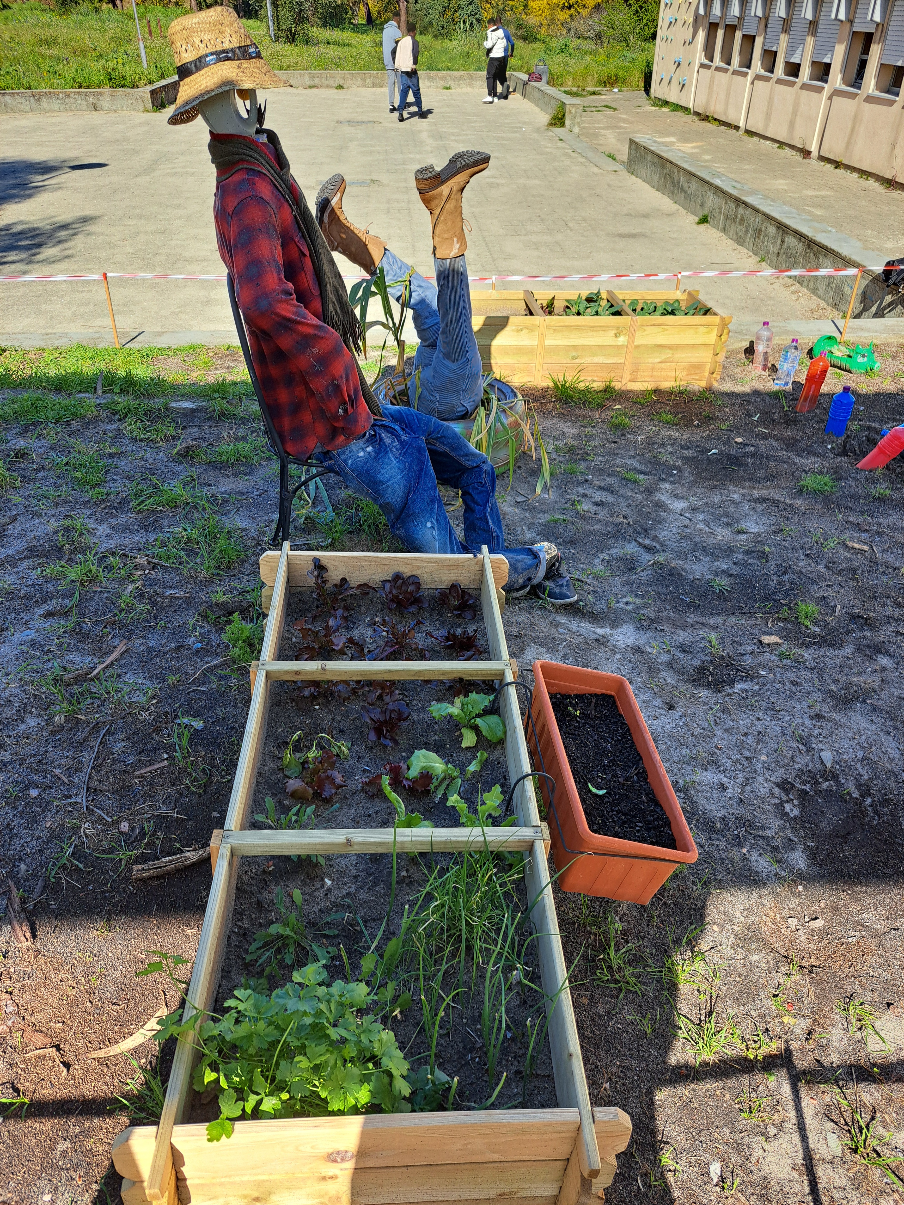 Canteiros terminados e já plantados.
