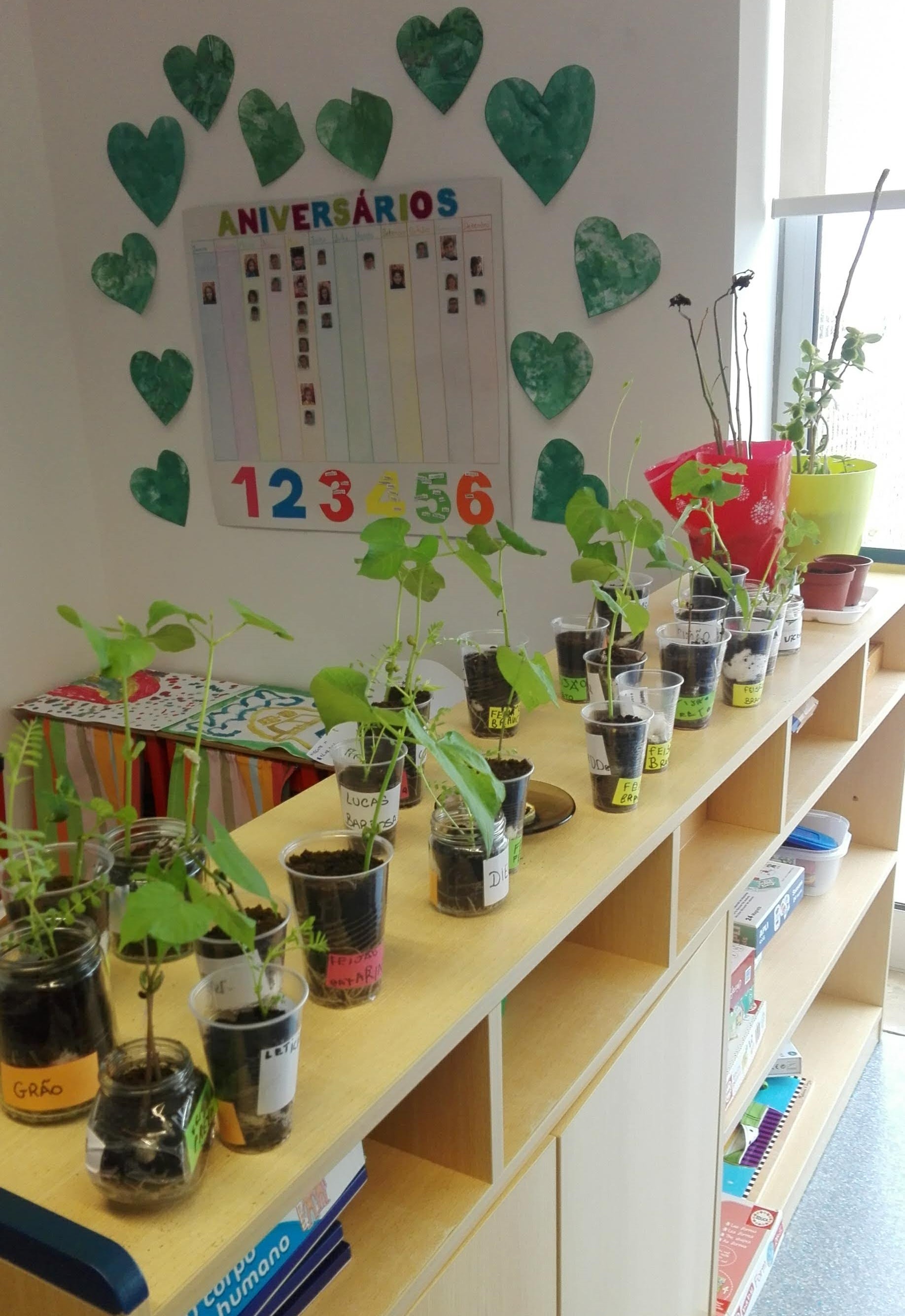 Germinação (Pré-Escolar)