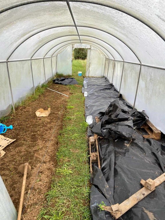 Limpeza, lavrar e transferir terras – Mulching