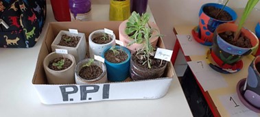 - Realização de vasos em concreto;
- Pintura de vasos de barro;
- Replantação de vasos com diferentes tipos de plantas.