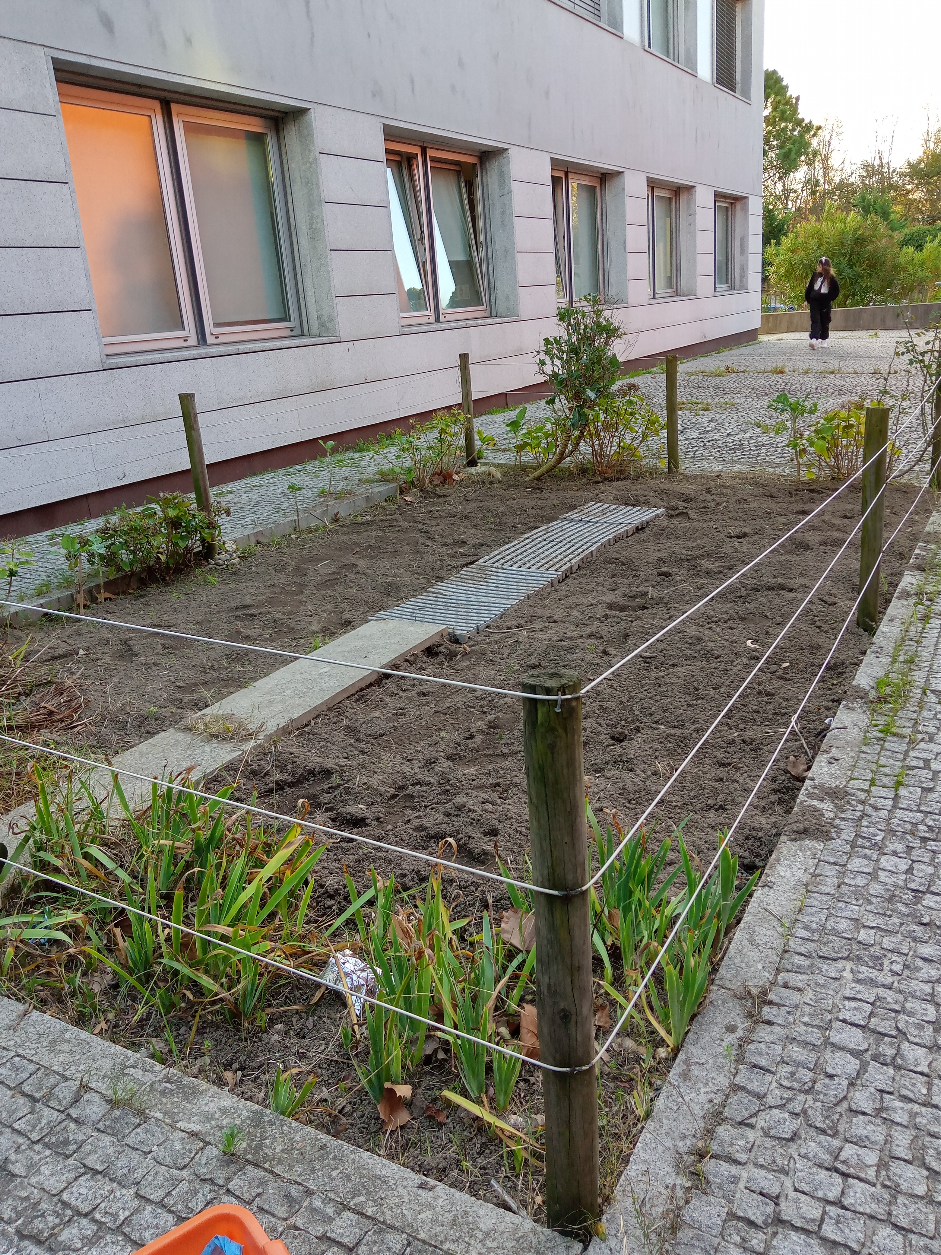 Aspecto da horta após a limpeza da vegetação e após a terra ser cavada.