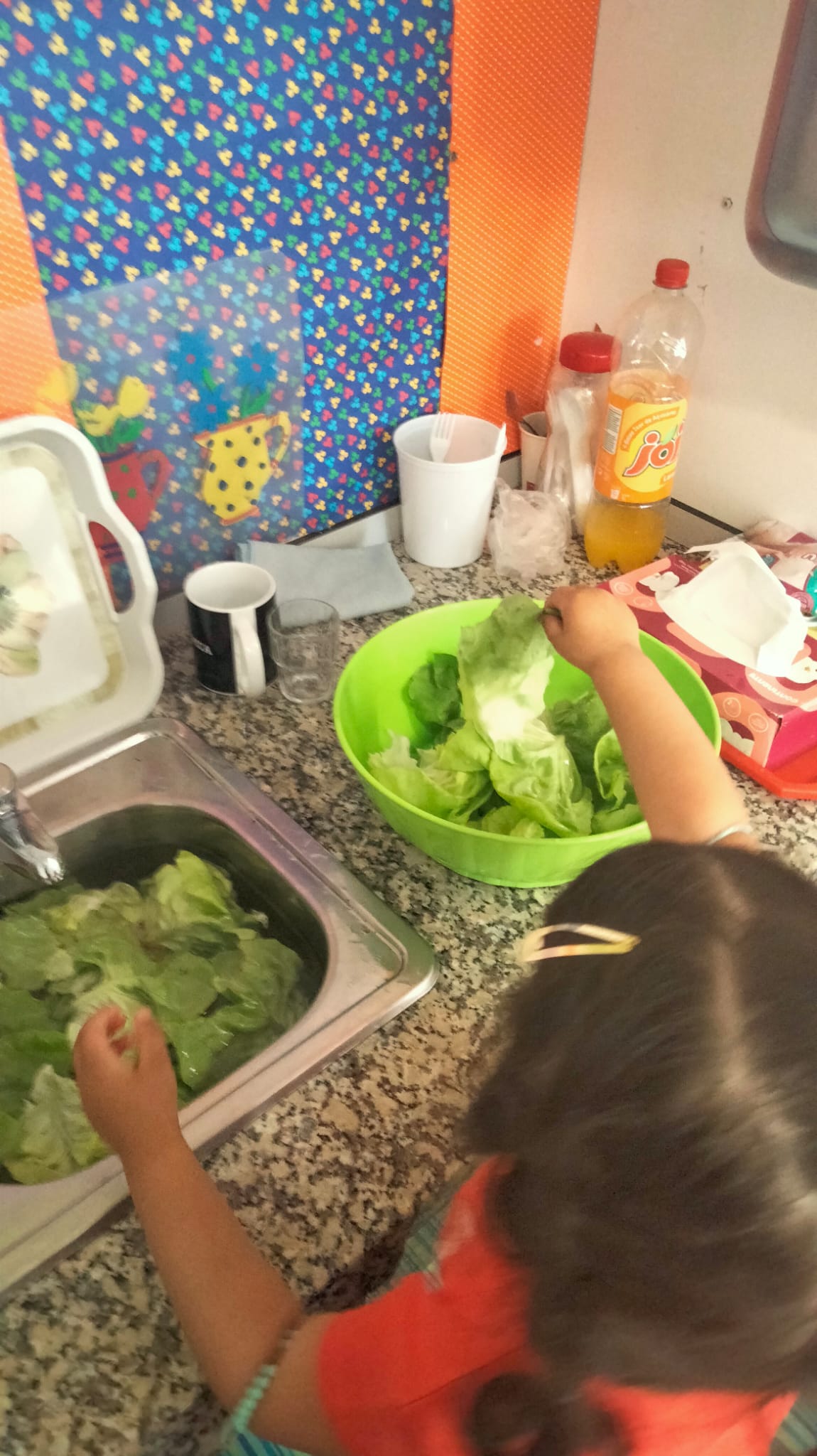 Nas salas de aula, lavámos as alfaces para as sandes  do lanche.