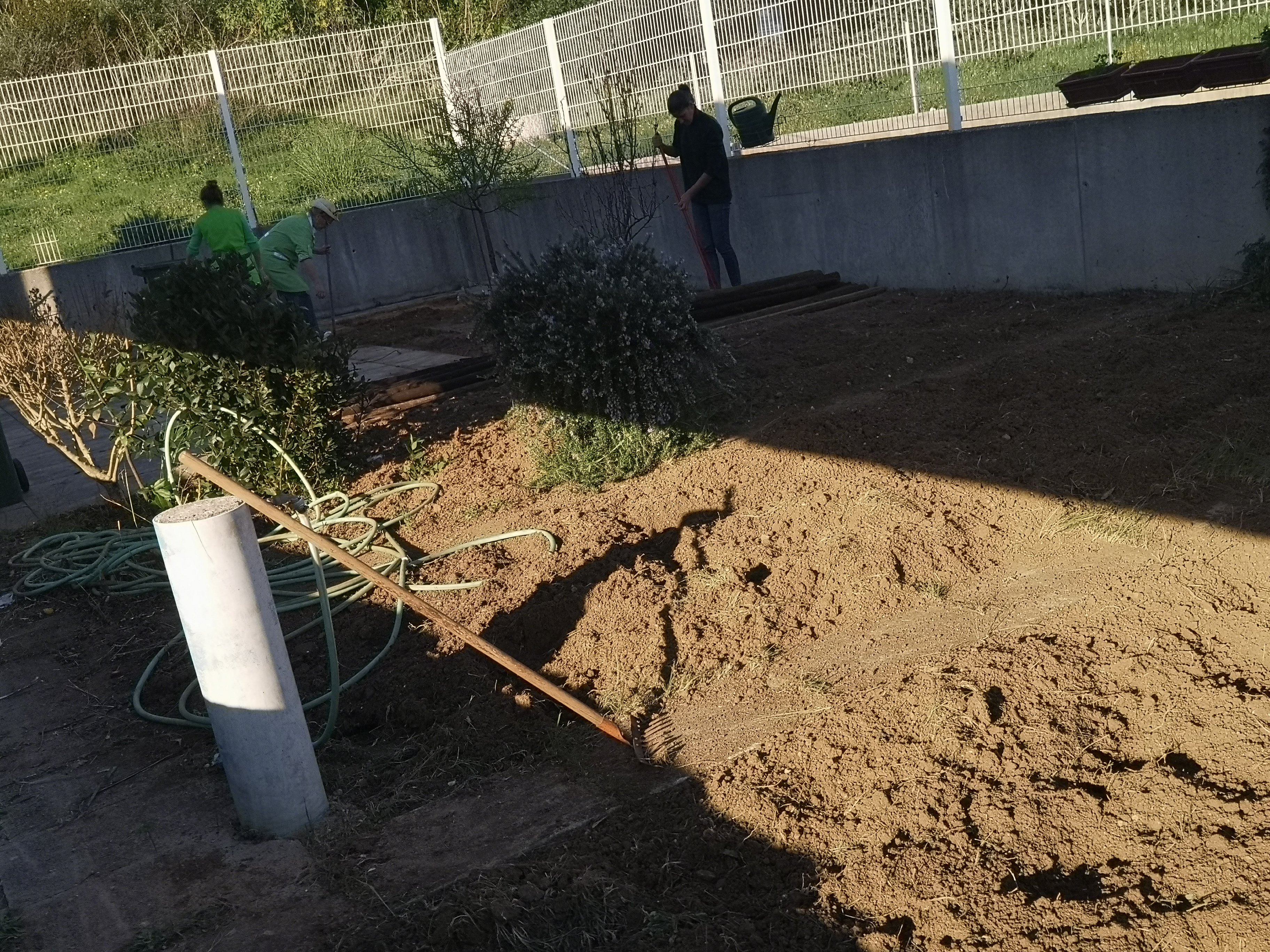 janeiro: limpeza e preparação do terreno