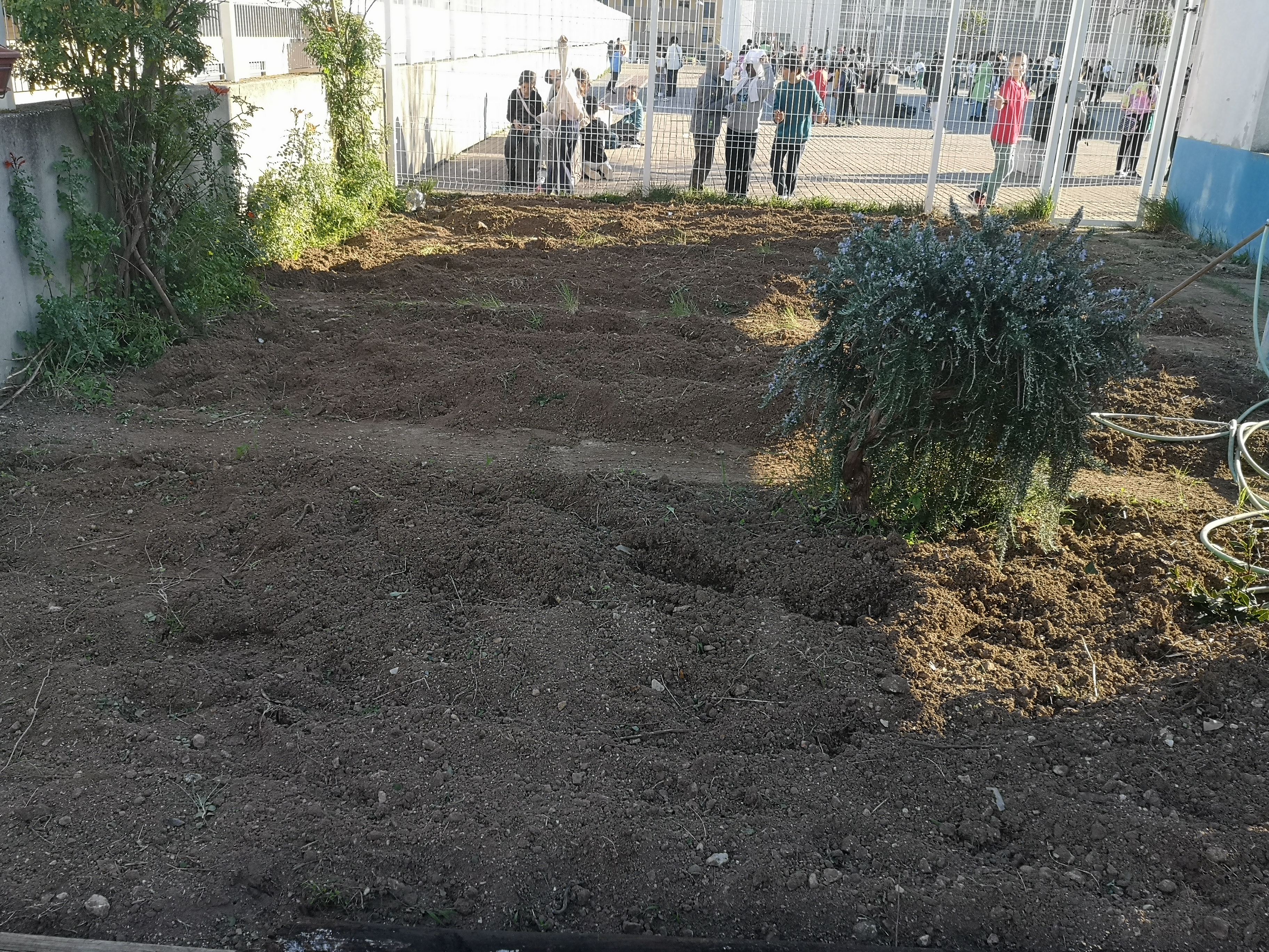 janeiro: limpeza e preparação do terreno