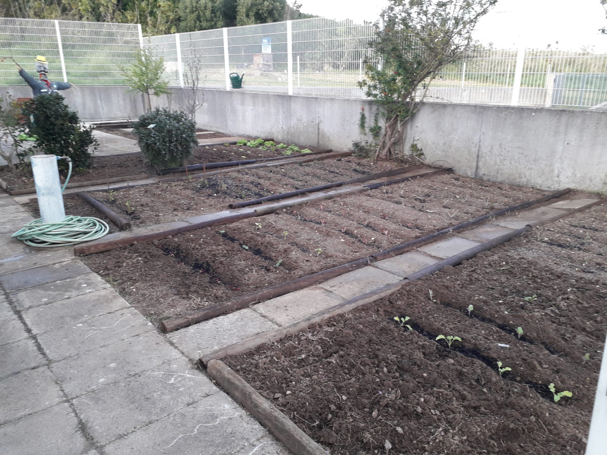 fevereiro/março - plantações