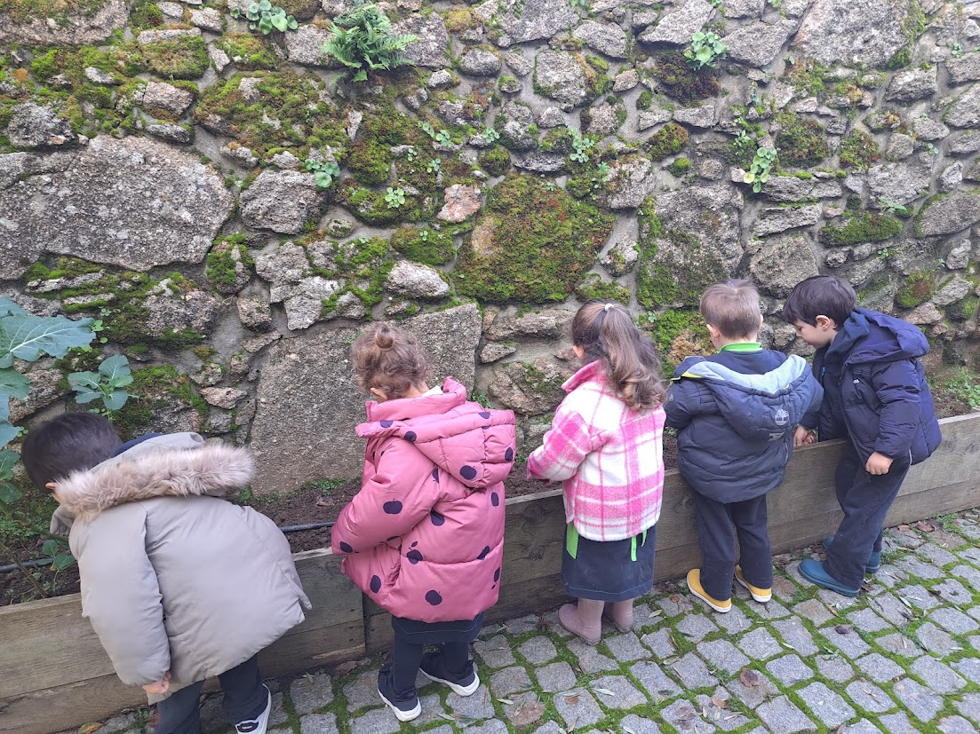 Preparação da Horta Escolar III