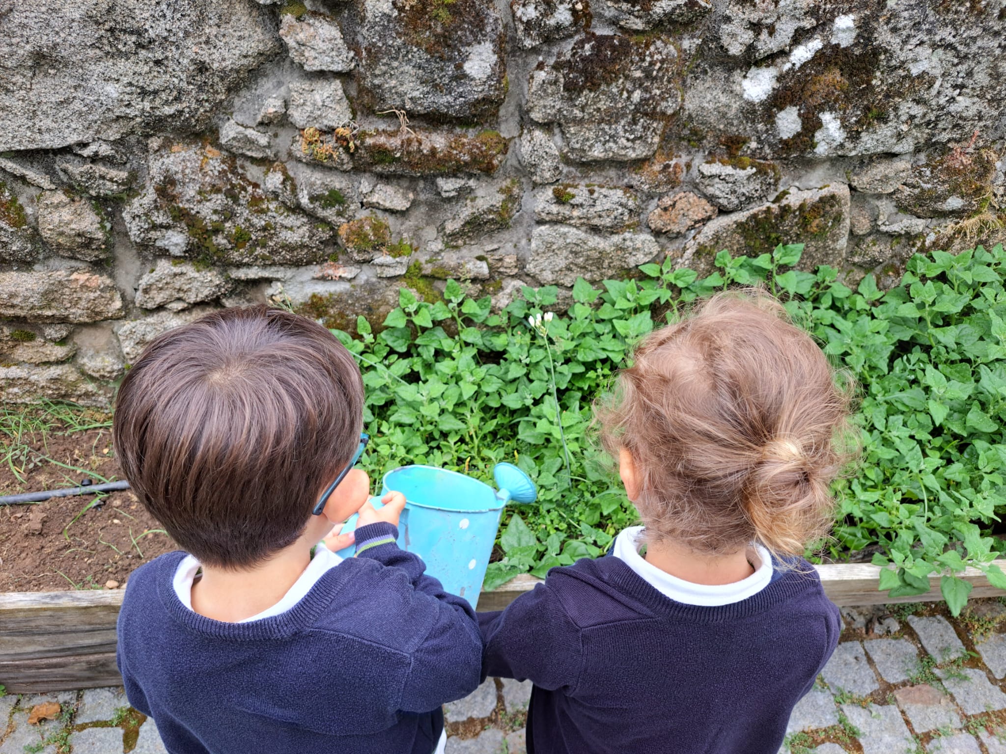 Manutenção da horta - irrigação, limpeza da horta, poda e compostagem I
