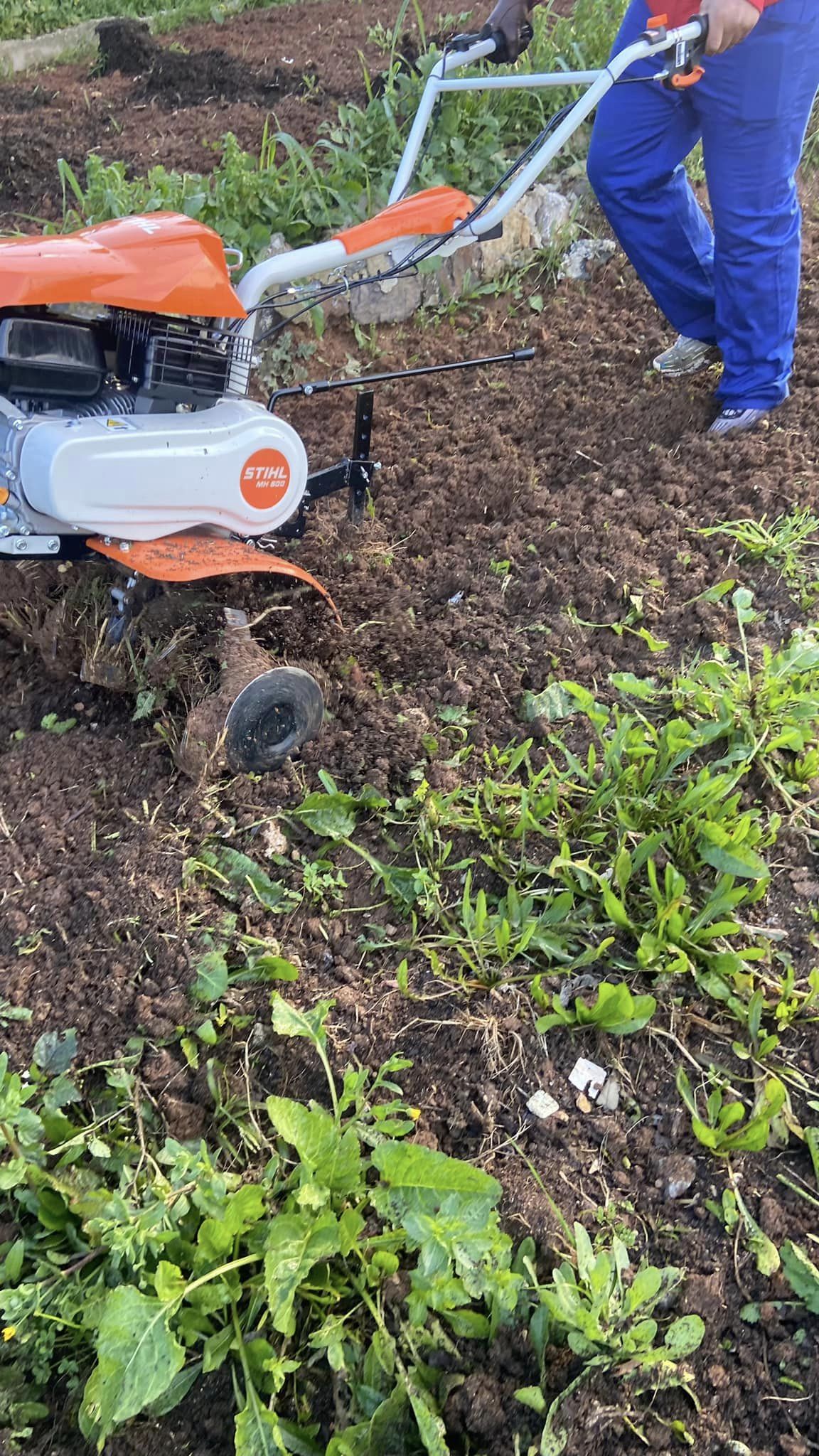 Preparação do terreno
