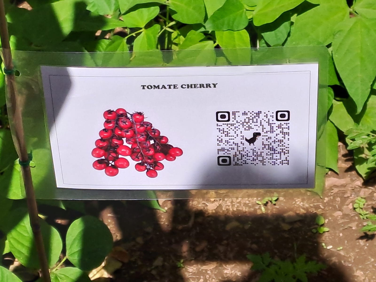 Identificar as plantações