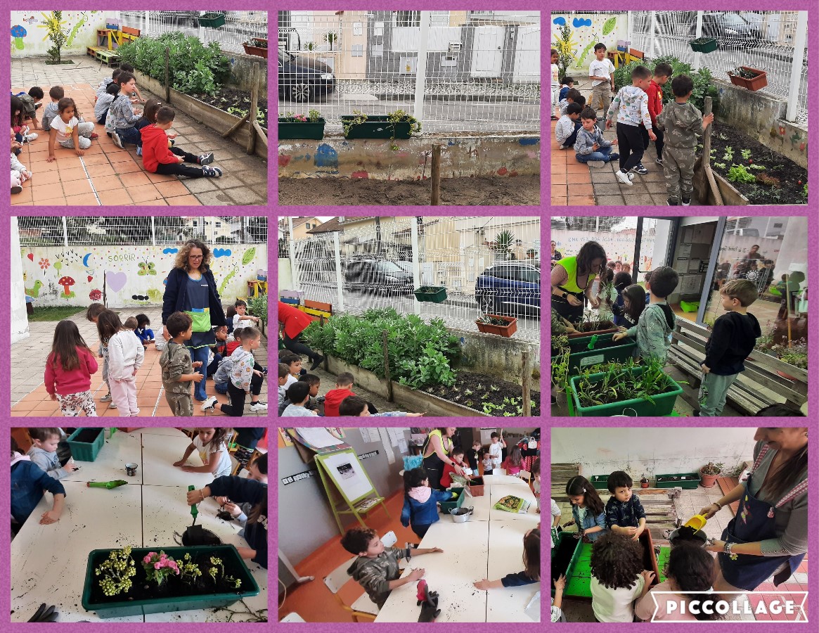 Plantação de flores na horta - Polinizadores