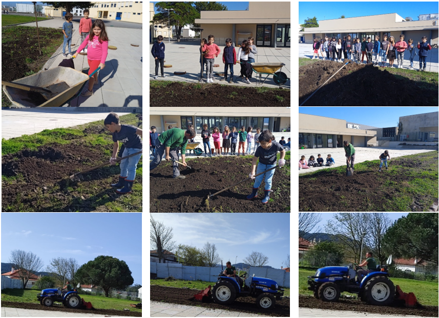 O solo da horta foi fertilizado com composto orgânico, fruto da compostagem realizada na escola e com estrume de cabra e ovelha do curral comunitário do baldio de Riba de Âncora. Algumas etapas de tratamento do solo (fresar a terra) estiveram a cargo dos