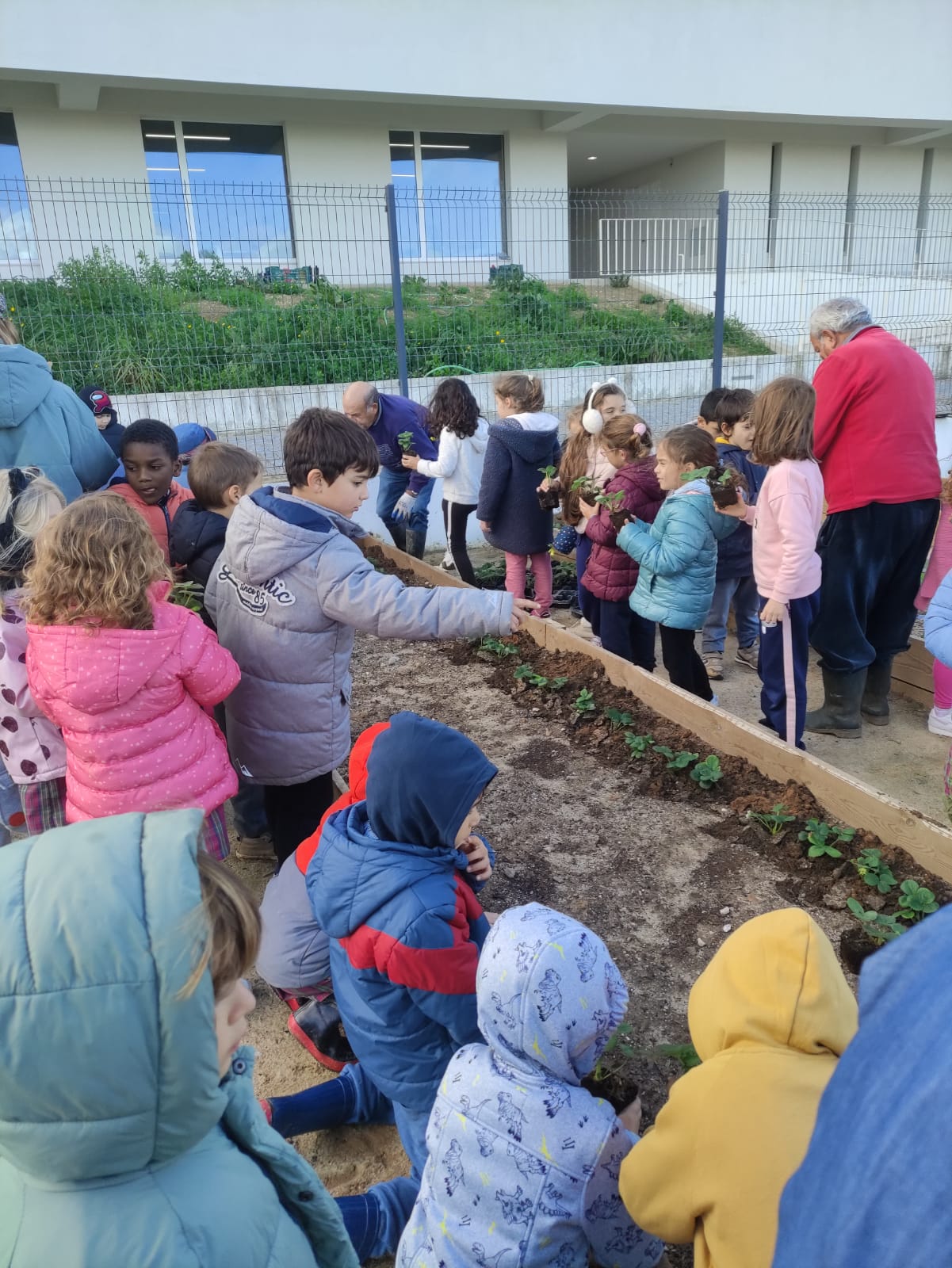 Plantação de algumas plantas com a ajuda dos voluntários do Projeto 55+.