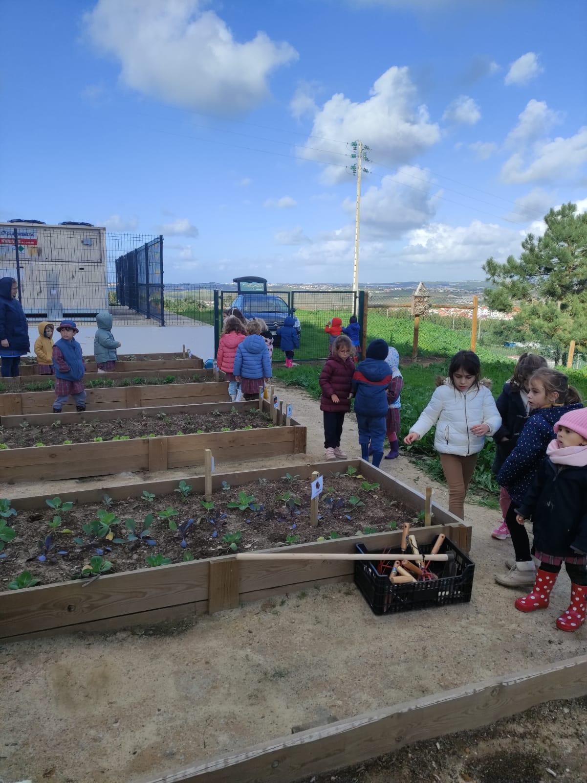 Plantação de algumas plantas com a ajuda dos voluntários do Projeto 55+.