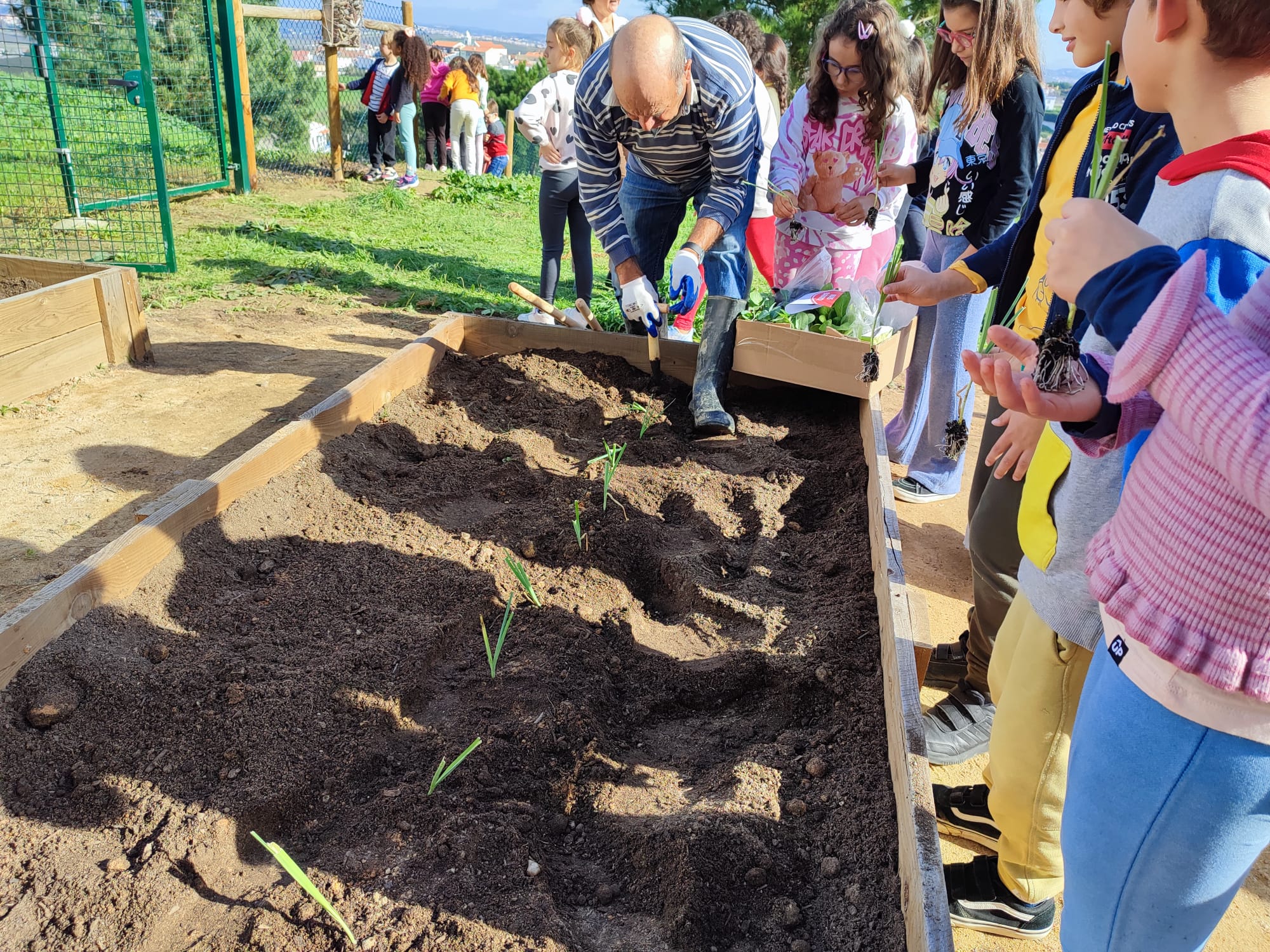 Plantação de algumas plantas com a ajuda dos voluntários do Projeto 55+.