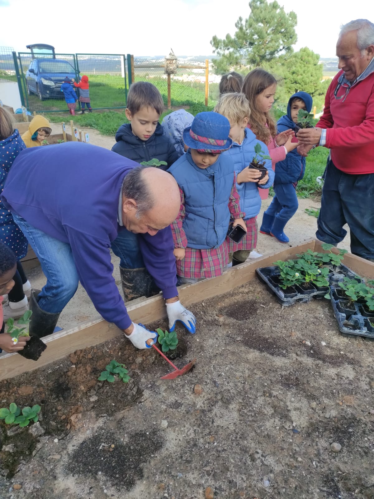Plantação de algumas plantas com a ajuda dos voluntários do Projeto 55+.