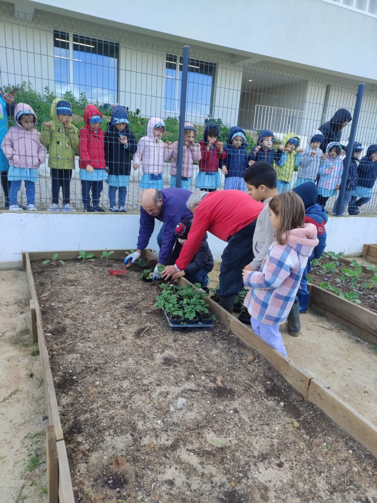 Plantação de algumas plantas com a ajuda dos voluntários do Projeto 55+.
