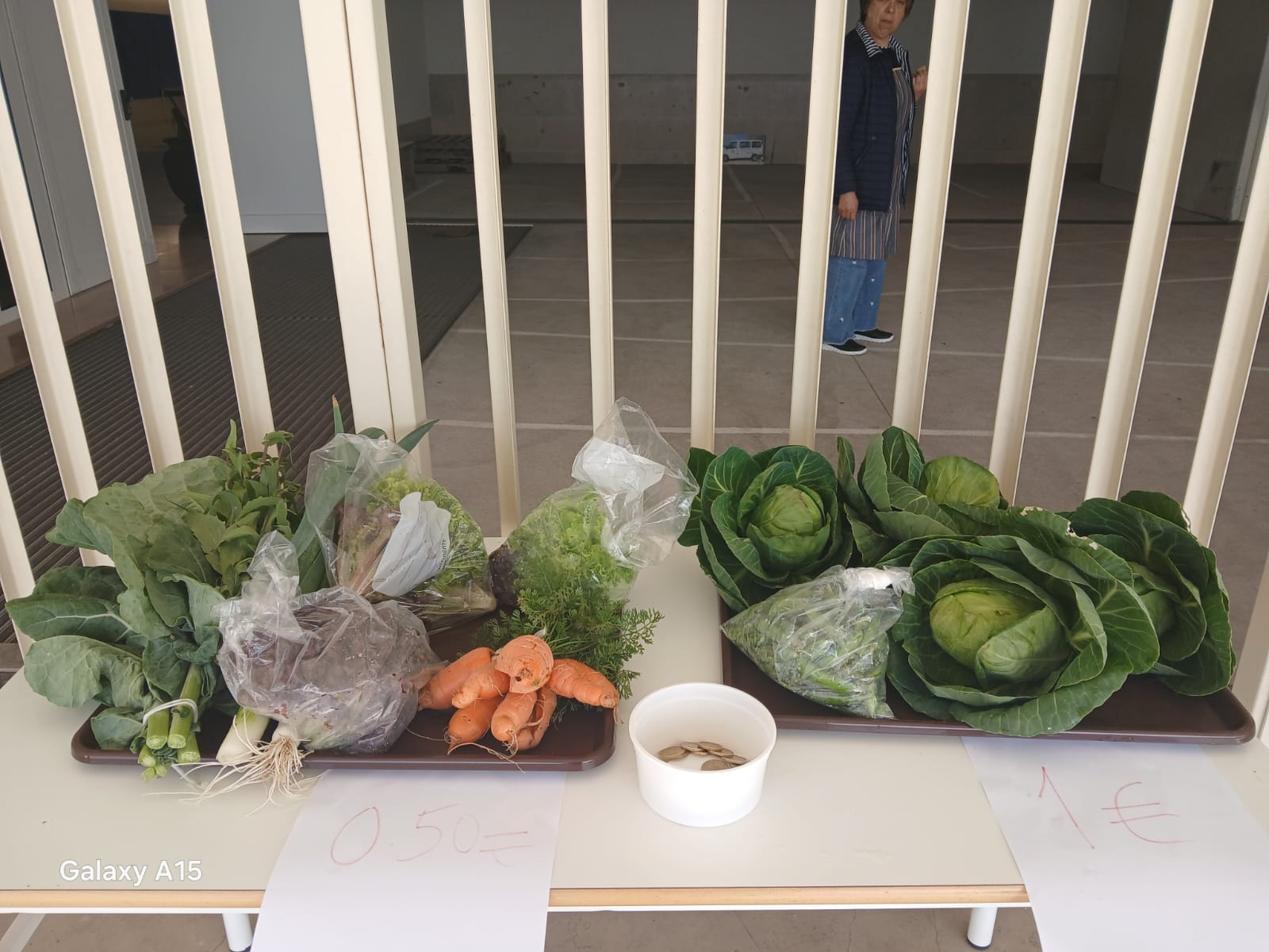 Venda dos produtos da horta.