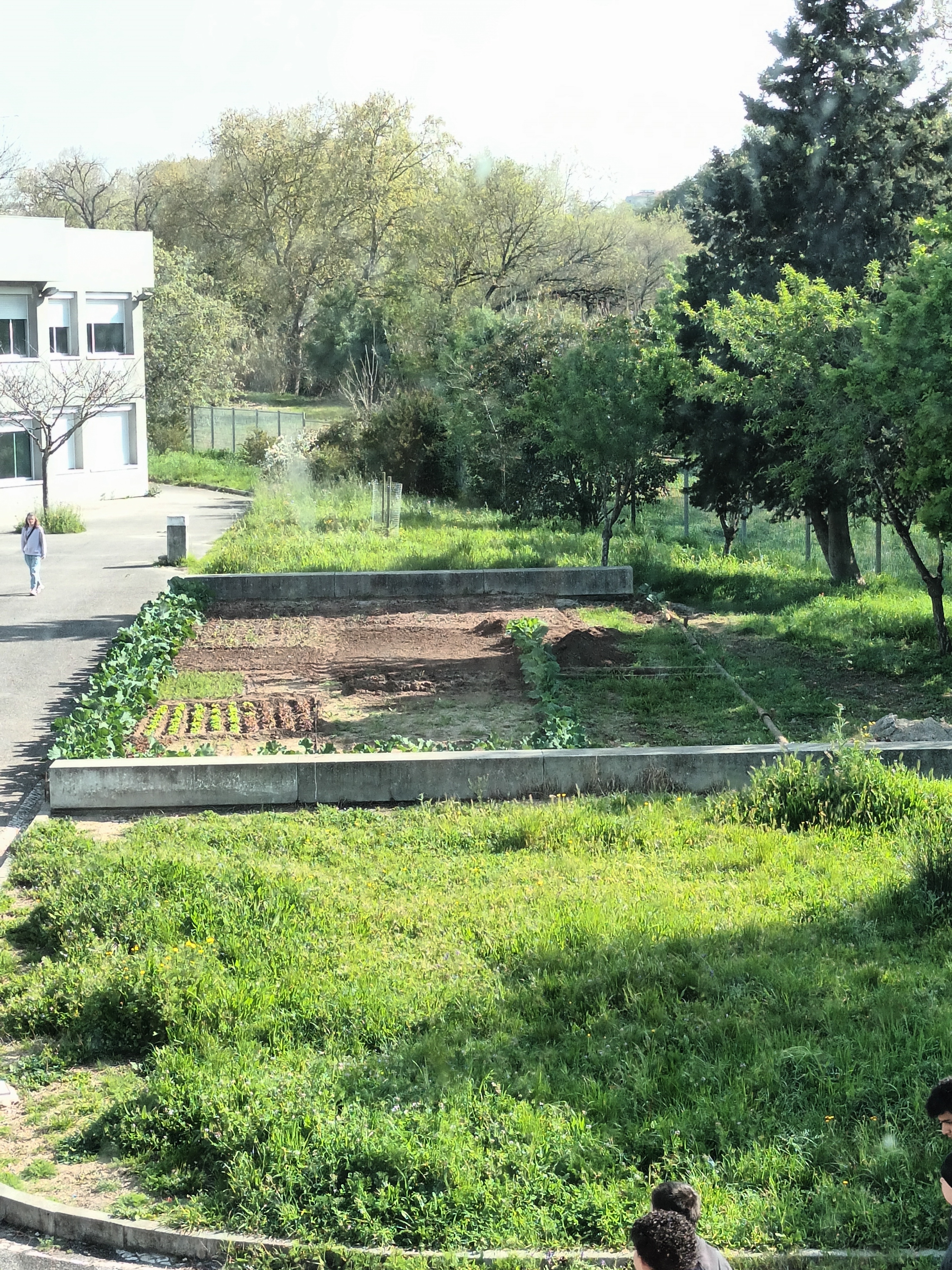 Espaço Físico da possível Horta