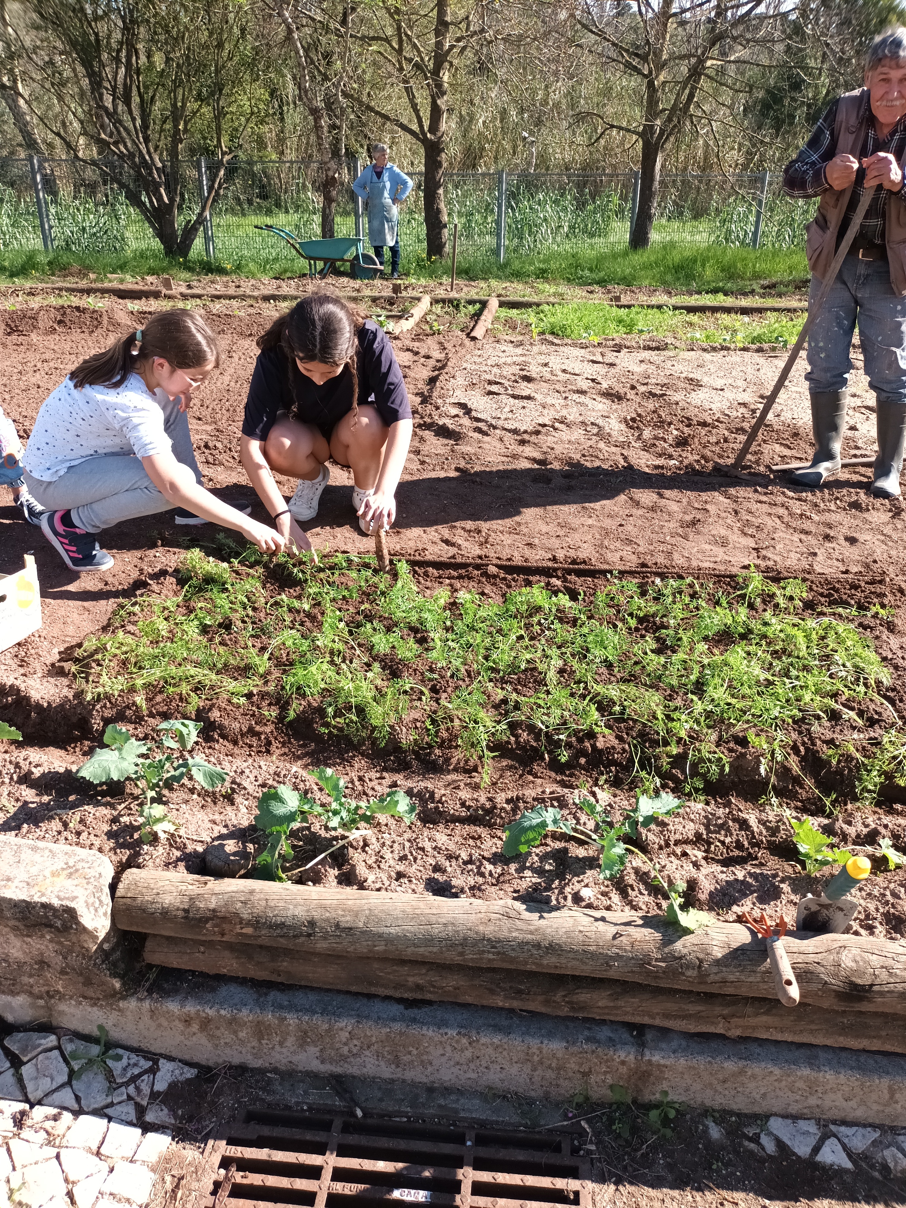 Plantação com a ajuda do Sr. Fernado (agricultor de paixão)