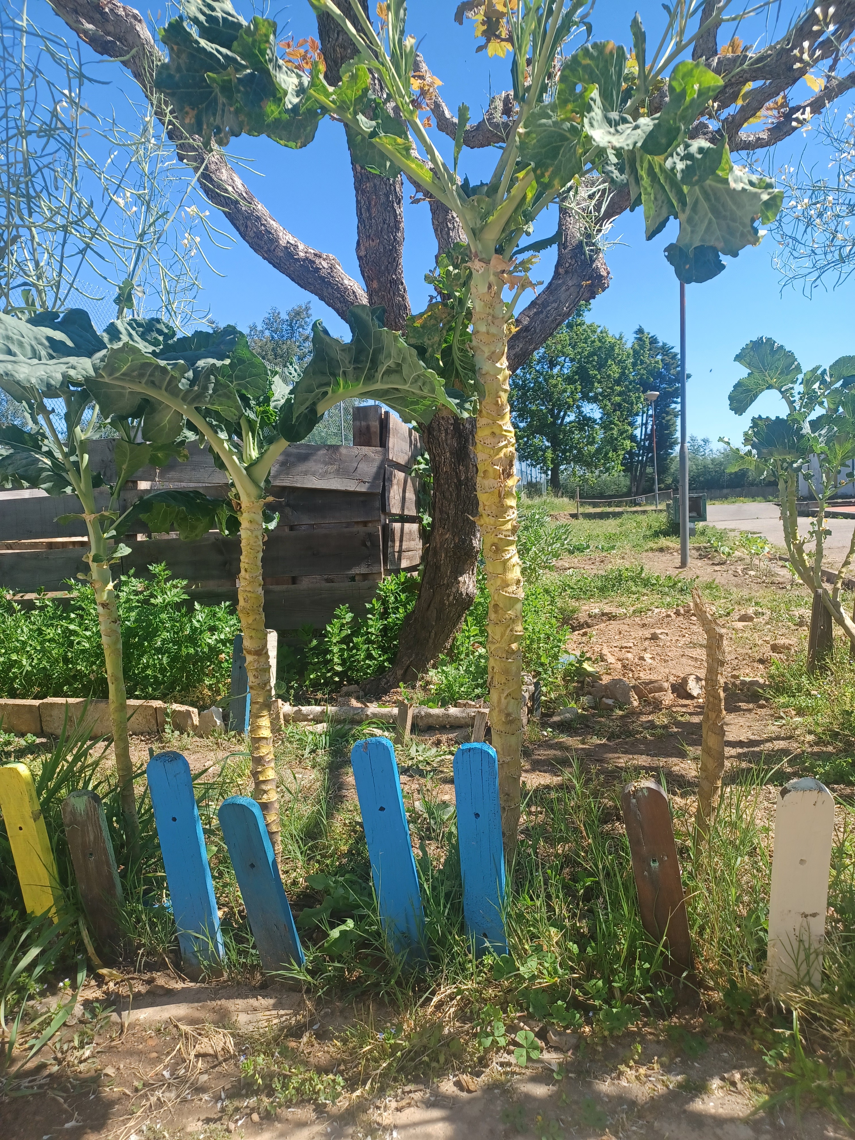Compostagem exterior