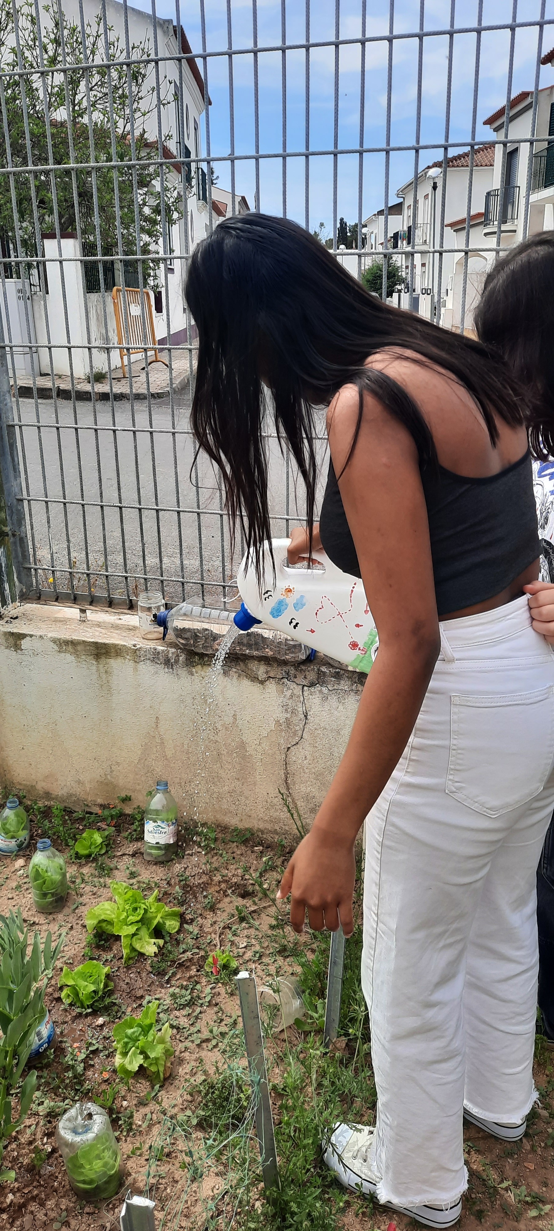 Rega de alfaces com regador de material reciclado