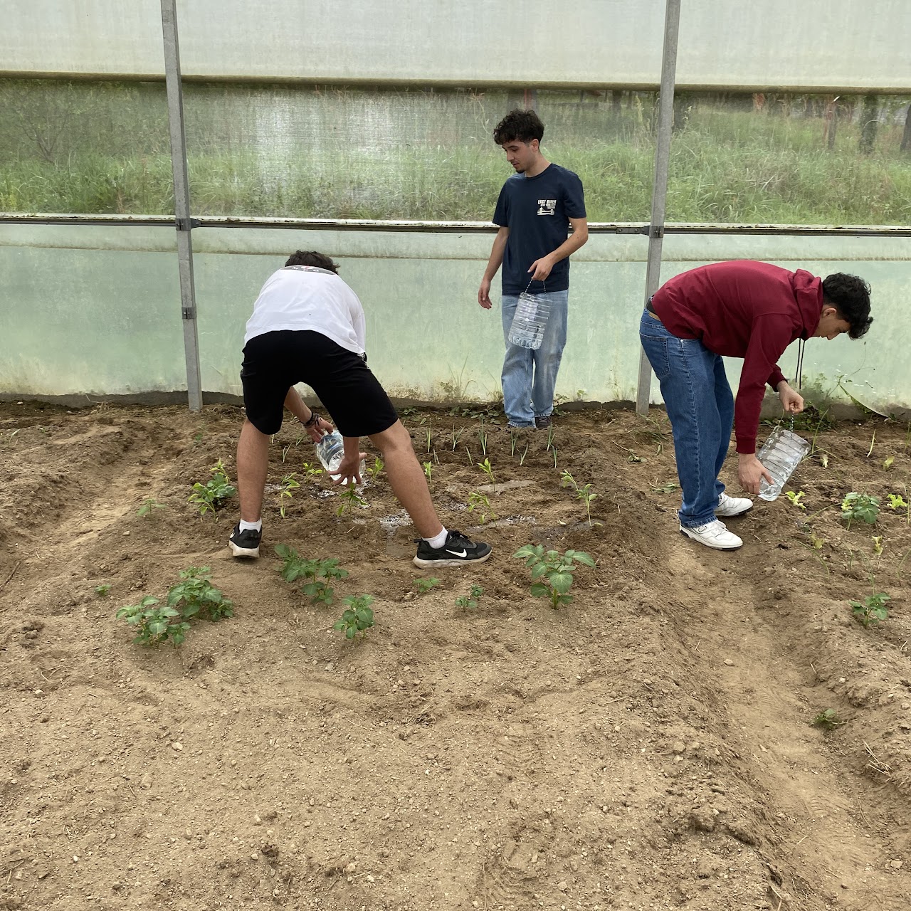 Alunos a regar a horta com a água da chuva recolhida nos garrafões (adaptados para o efeito).