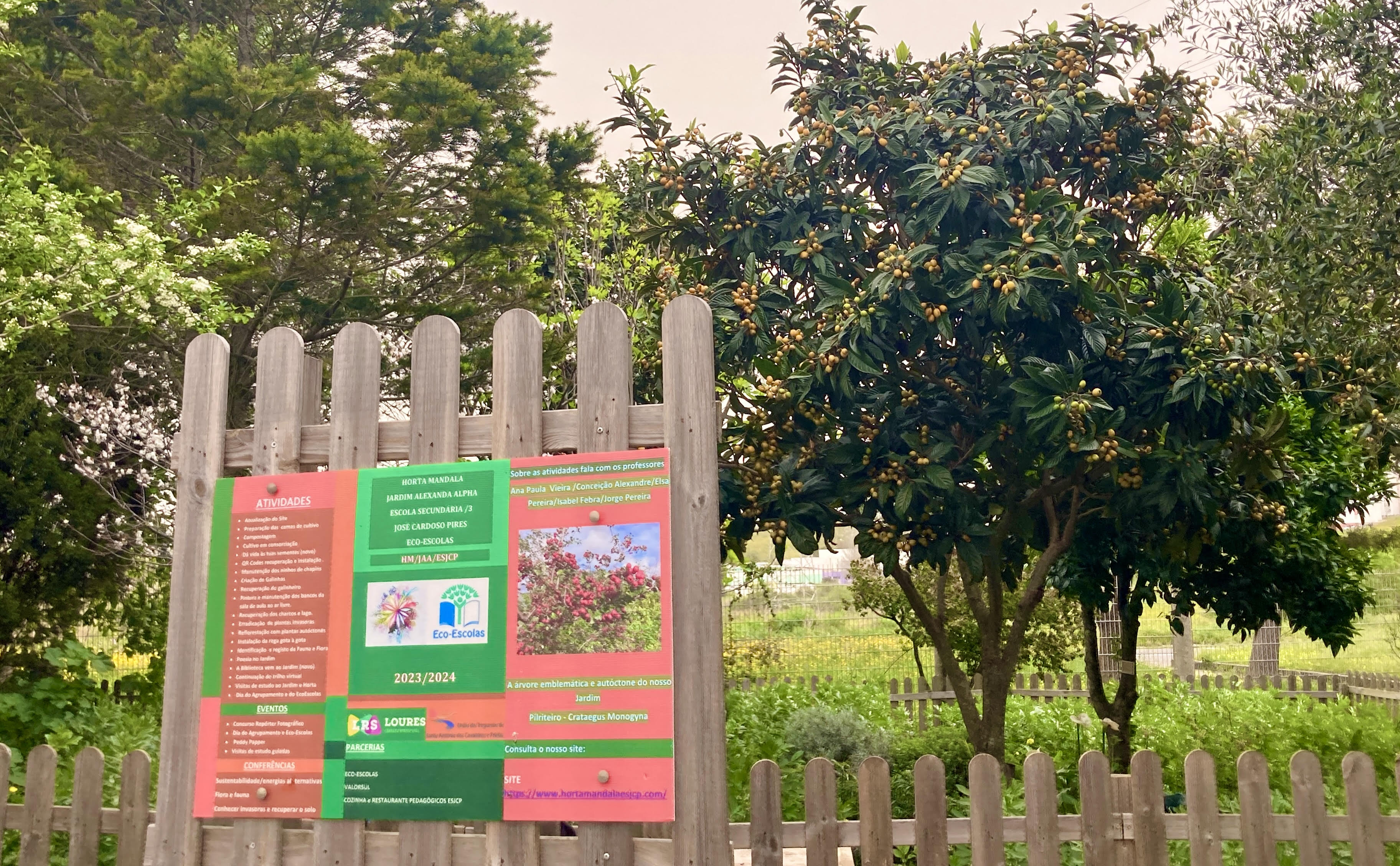 Grande plano da horta que como se pode observar segue a agricultura biológica  em regime de agrofloresta.