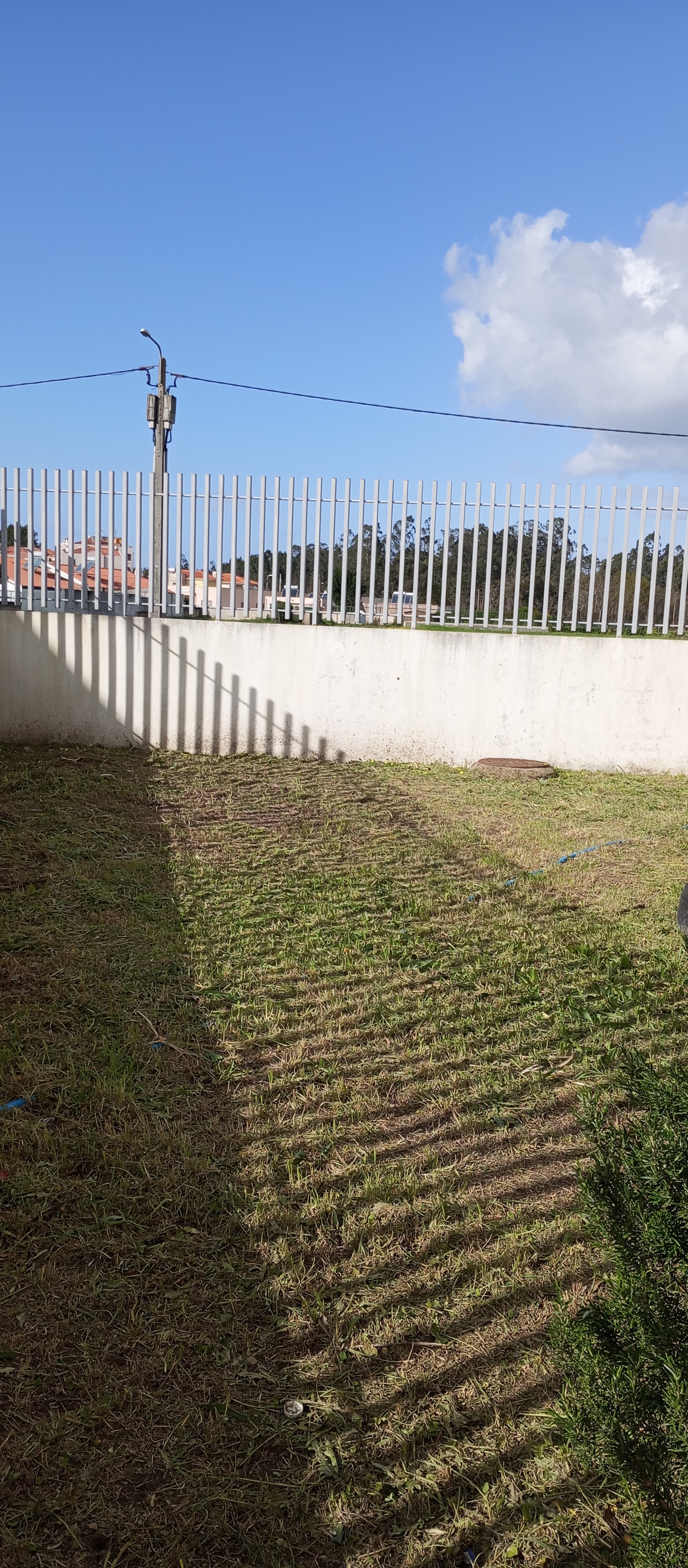 Horta dia 26/02/2024