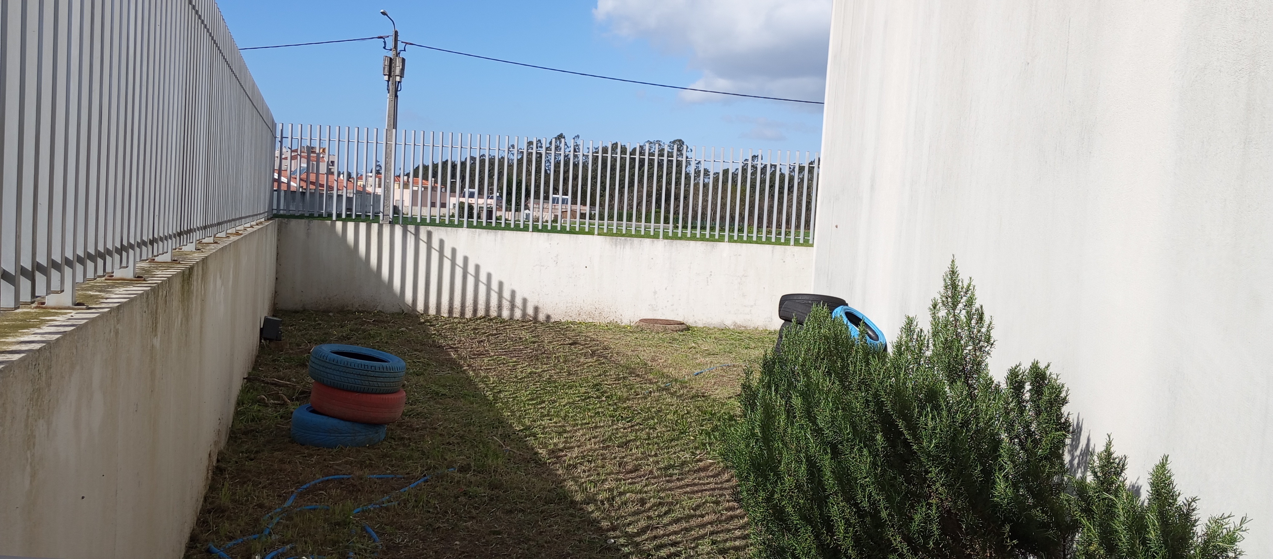 Horta dia 26/02/2024