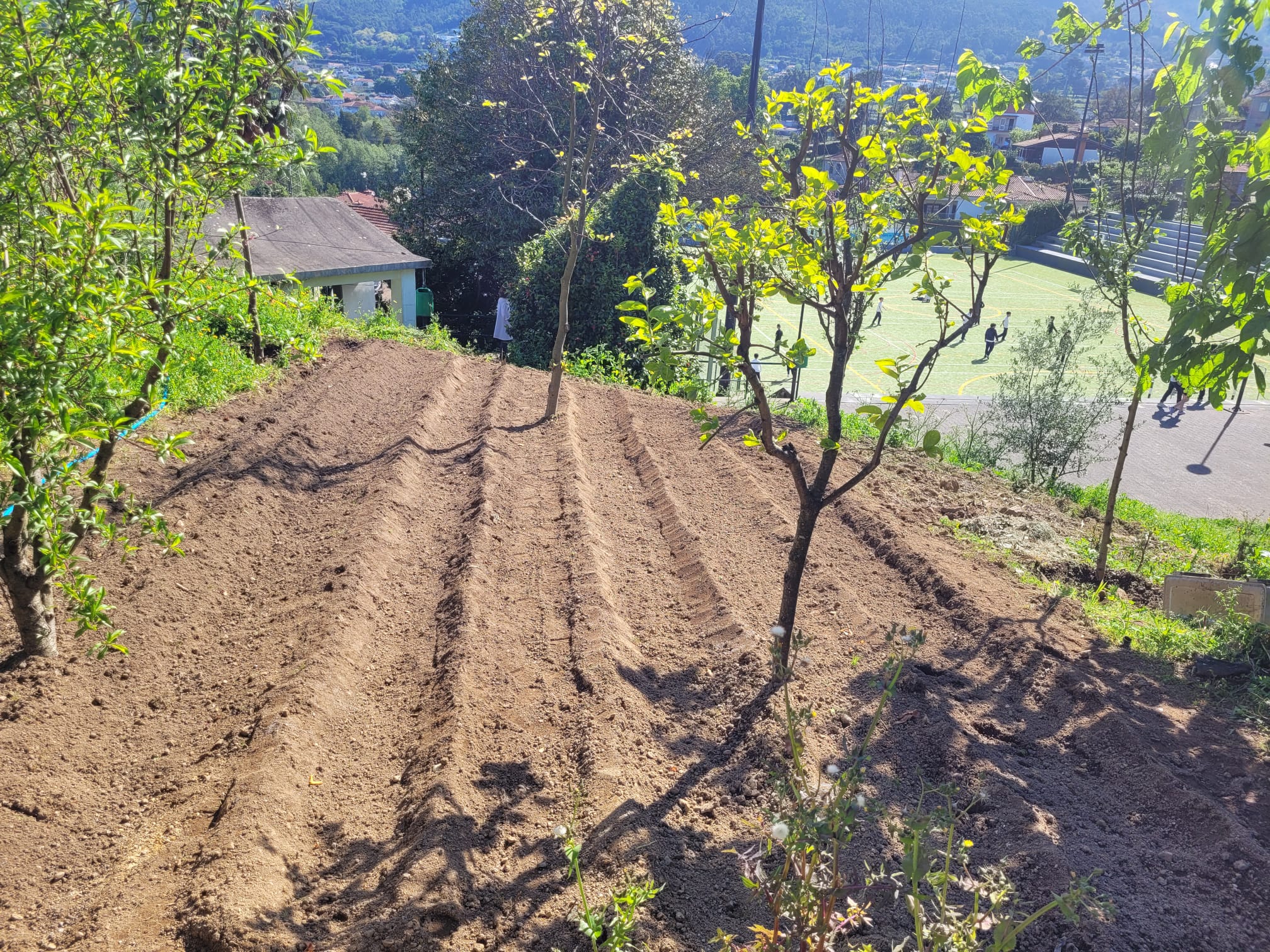 Preparação do terreno