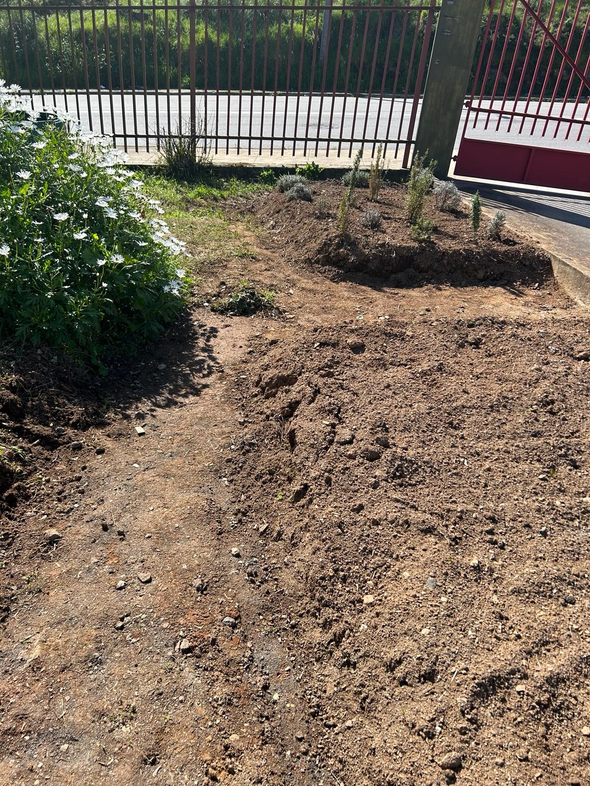 Horta 2