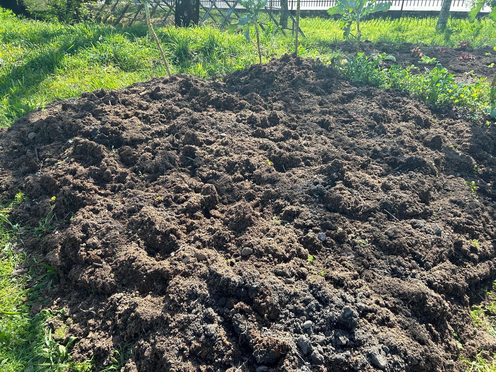 Horta 4