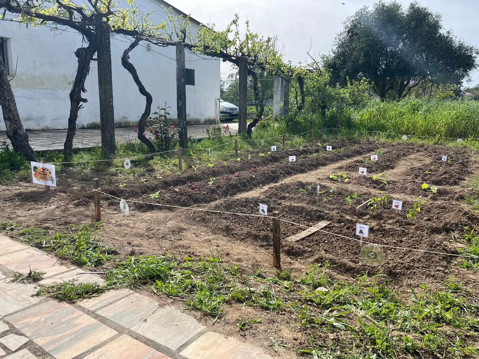 As plantações começam a surgir